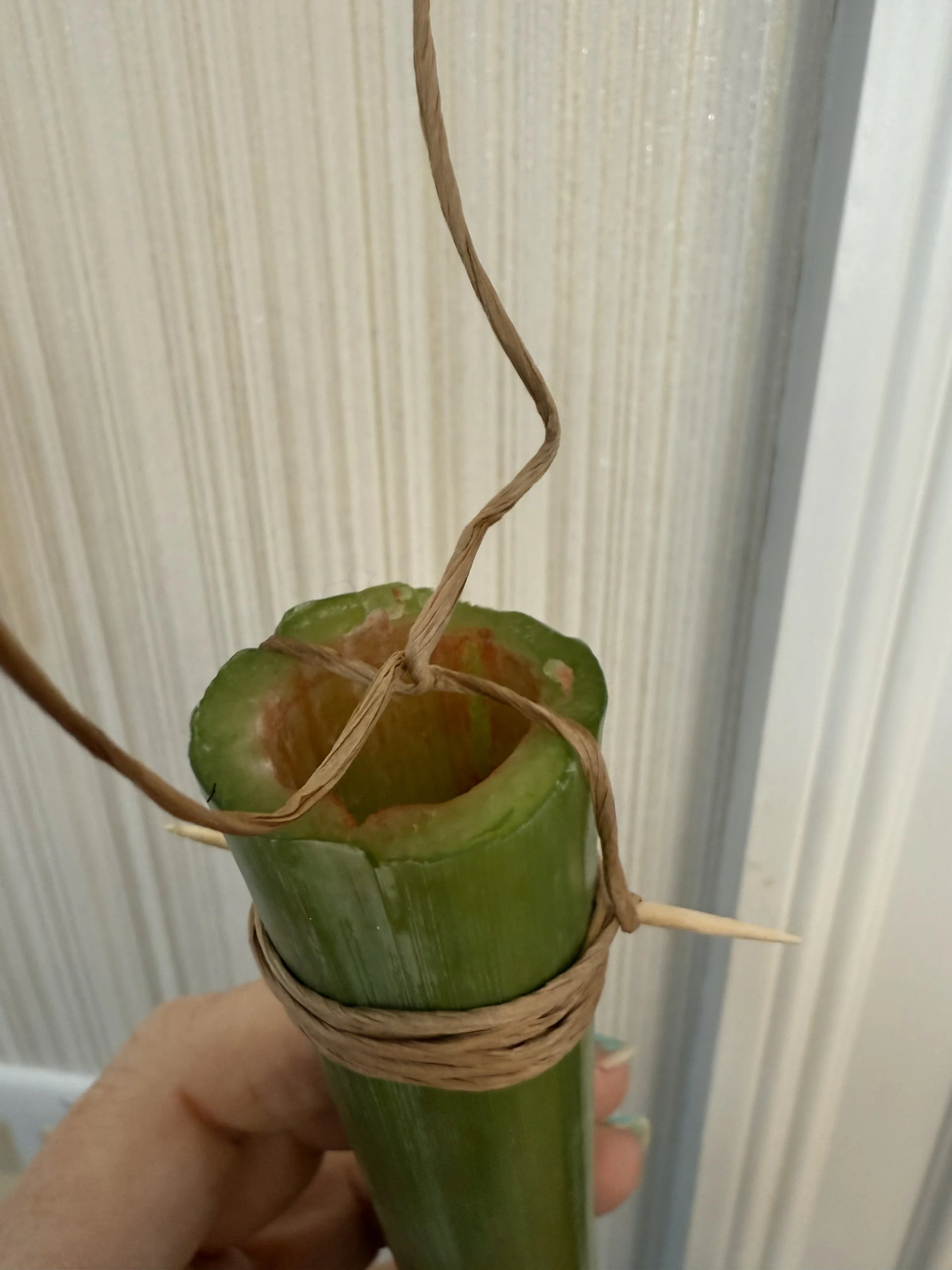 Floral Notes_Chandelier Florals_December 2025 (9).jpeg