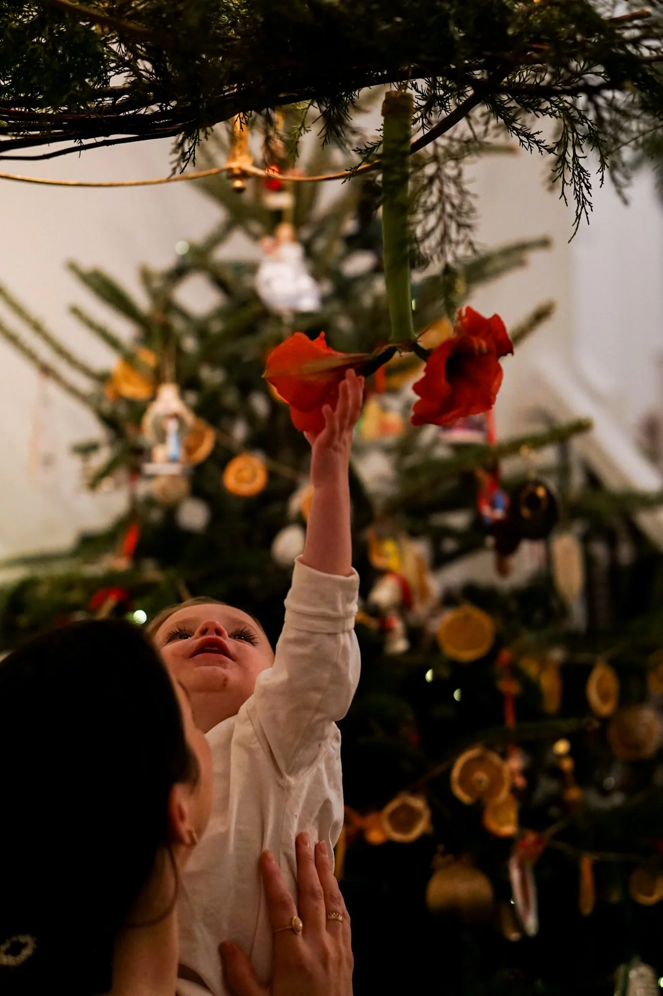 Noelle Photography_Chandelier Florals_20251224 (19).JPG