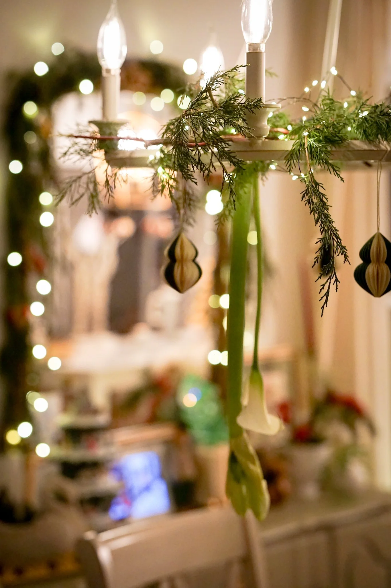 Noelle Photography_Chandelier Florals_20251224 (46).JPG