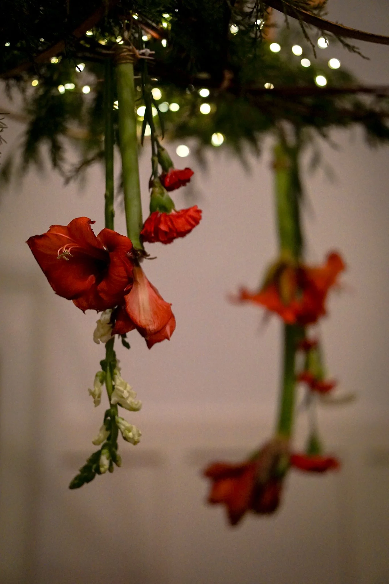 Noelle Photography_Chandelier Florals_20251224 (120).JPG