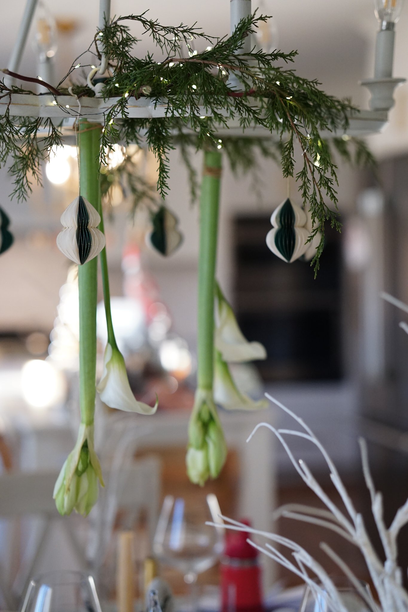 Noelle Photography_Chandelier Florals_20251224 (85).JPG