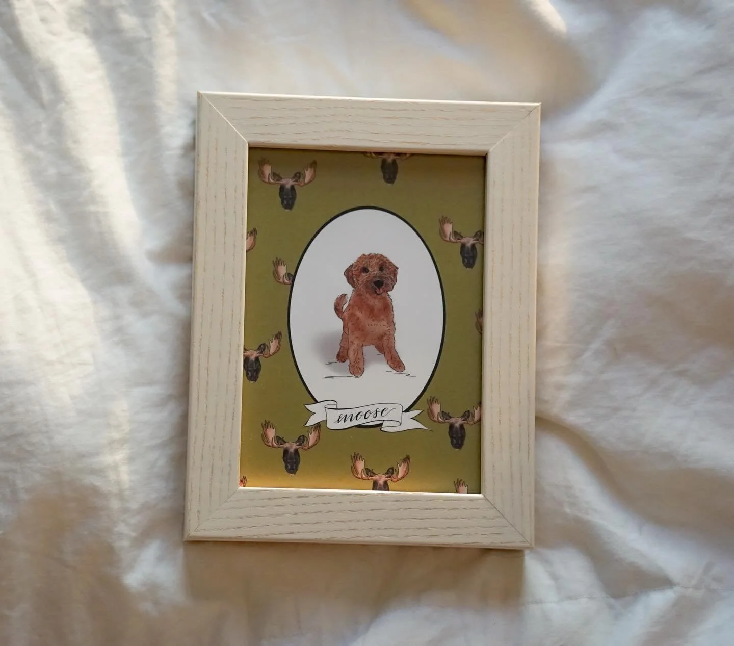 MOOSE 🤎 The Maximalist, Color Pet Portrait &bull; Custom Backdrop - moose for Moose &bull; 5x7 &bull; a fluffy pup and great example of using multiple photos (4 total) to inspire &amp; inform the final pose 🫎