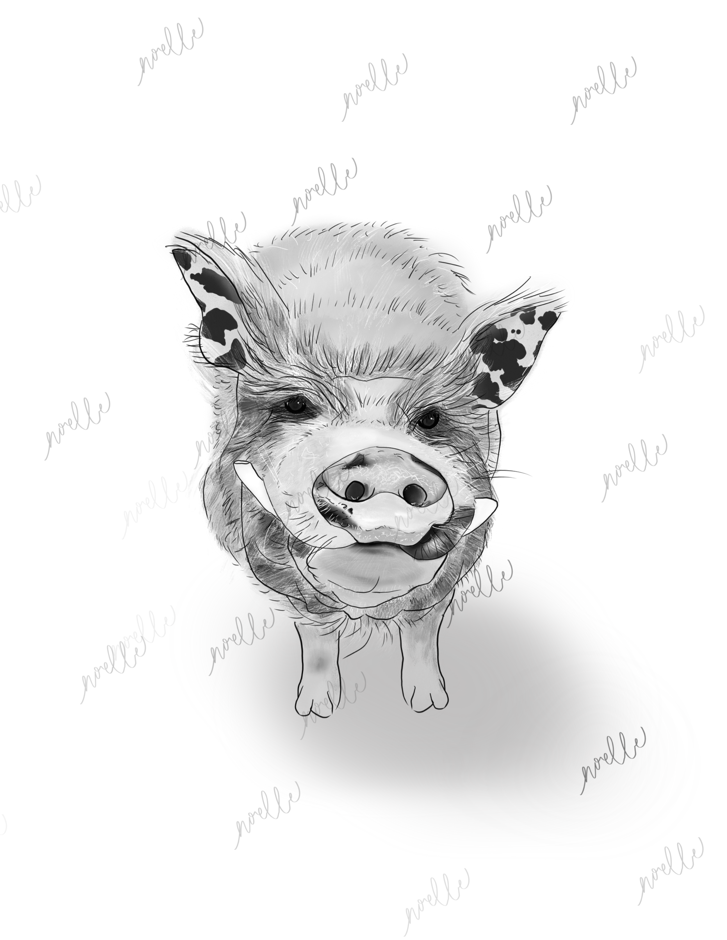 Custom Pet Portrait - The Minimalist