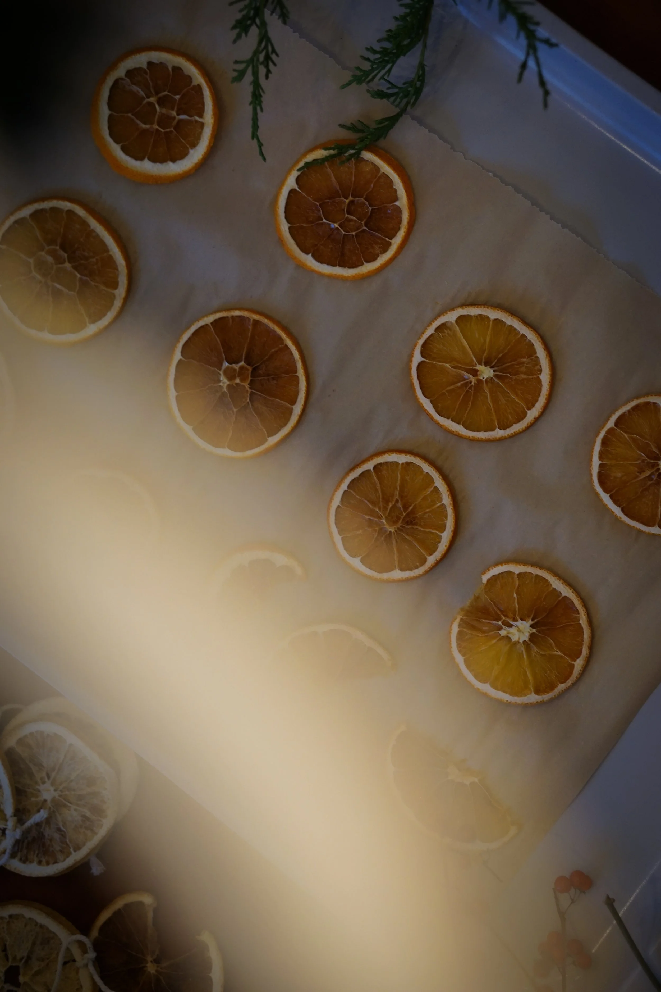 Dried orange slices on a tray