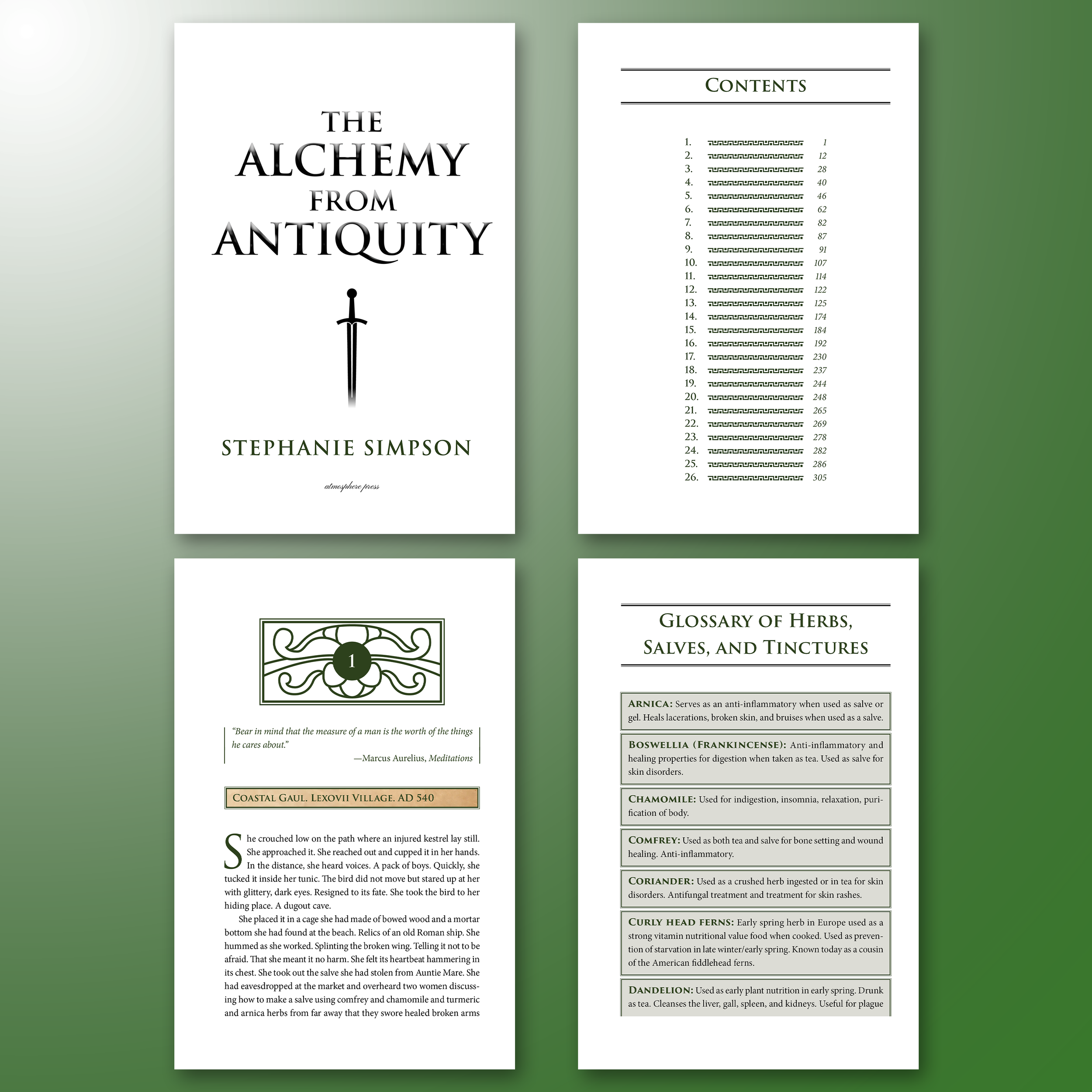 THE ALCHEMY FROM ANTIQUITY. A 500-page epic fantasy inspired by history, mythology, and alchemical traditions. To create a cohesive visual identity, I vectorized the cover artwork for use in the chapter openers and carried the cover’s paper texture t