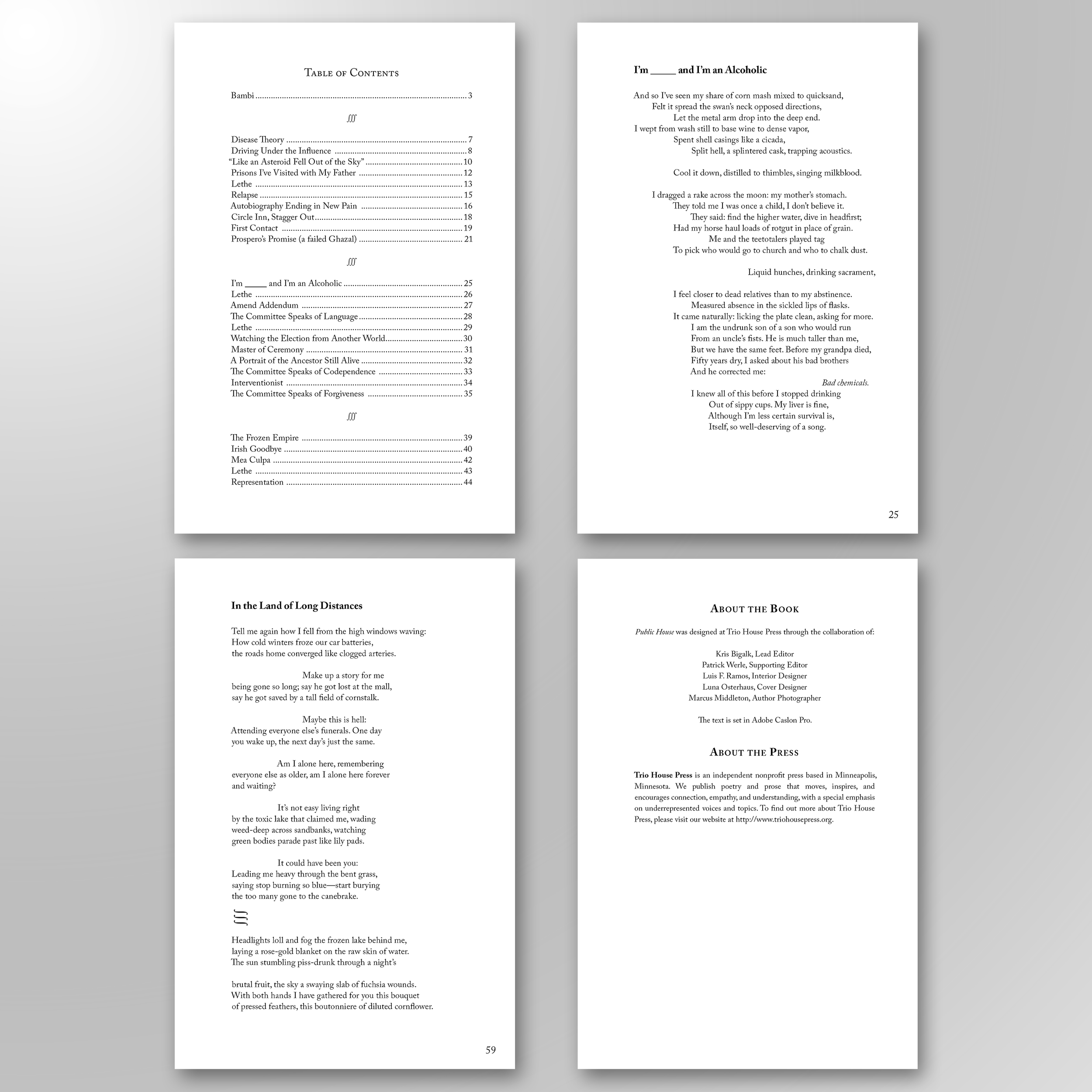 PUBLIC HOUSE. Freelance work with Trio House Press, a poetry publisher. This interior design required extensive collaboration with the author and presented unique layout challenges, particularly in translating visual poems from a Word manuscript into