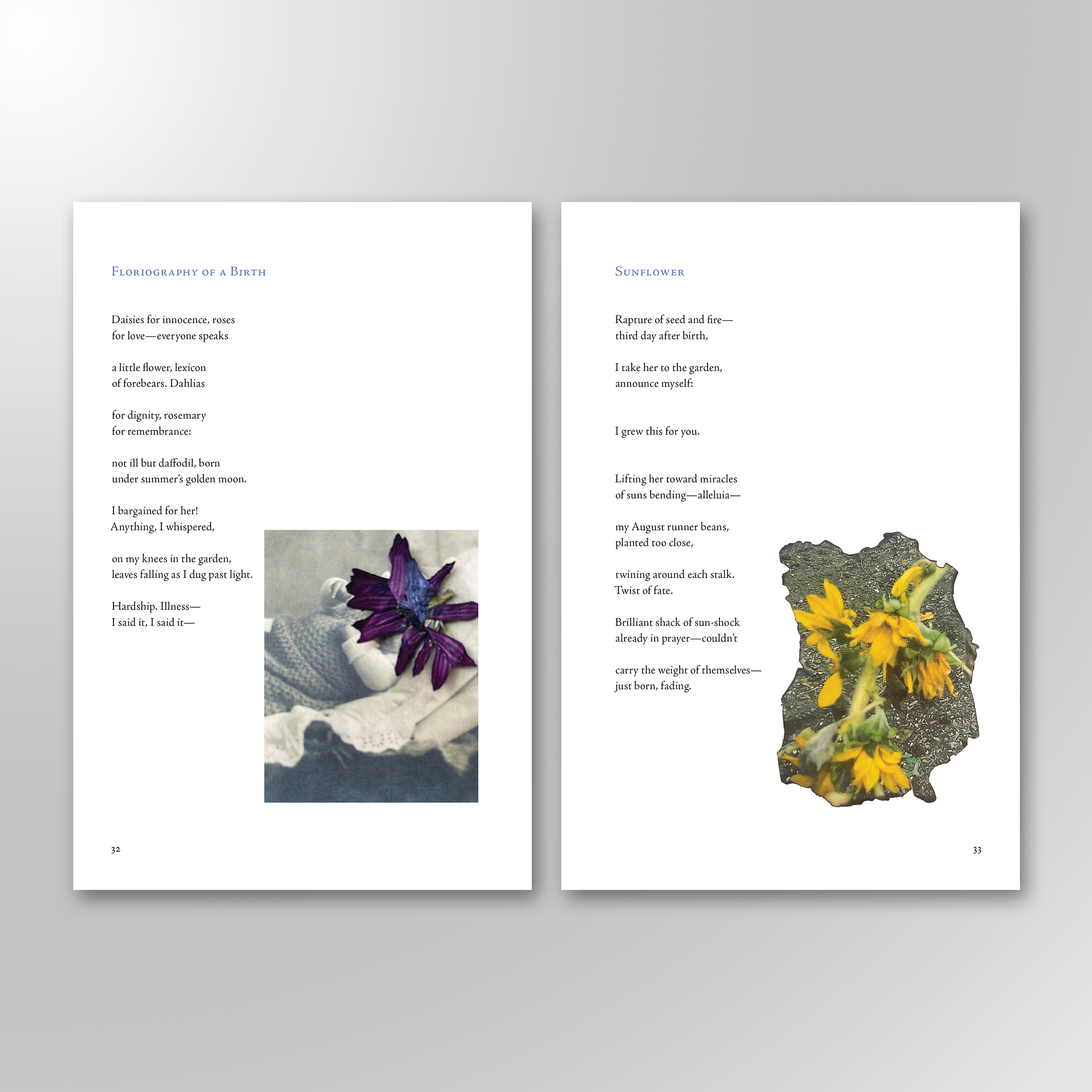 FLORIOGRAPHY CHILD. The interior was truly a pleasure to typset, each poem accompanied by a color photo of a dead flower. It's a unique interior that reflects one of the poet’s many passions.
