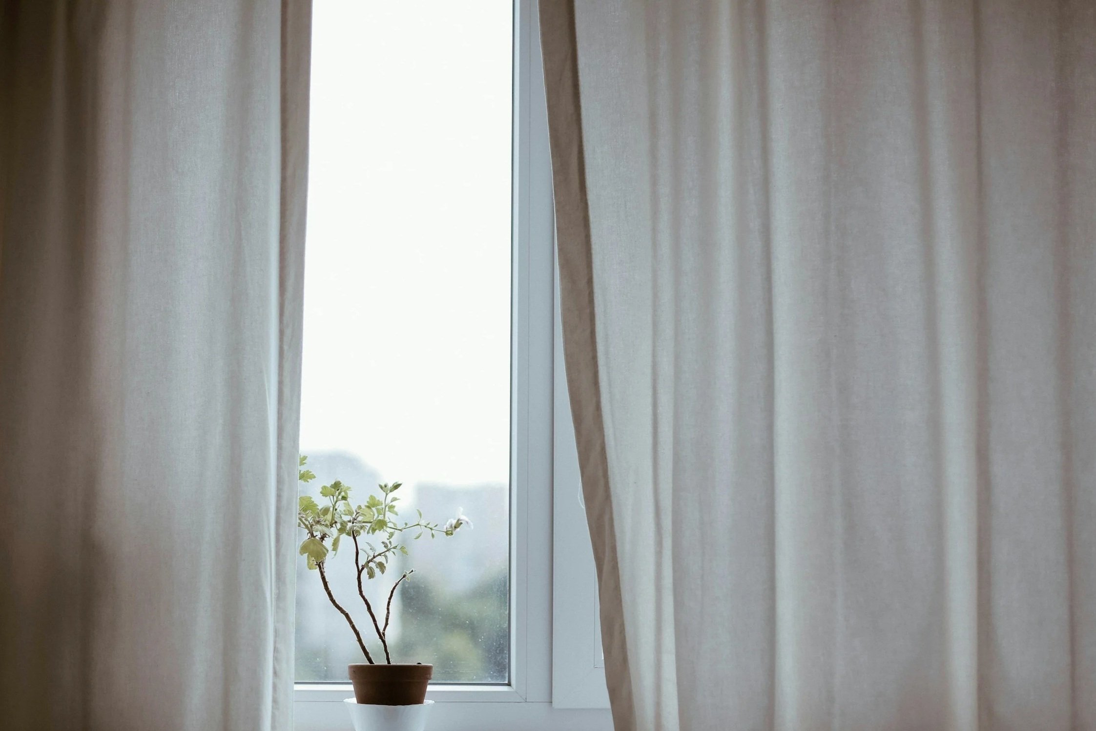 Clinical Psychologist fee structure