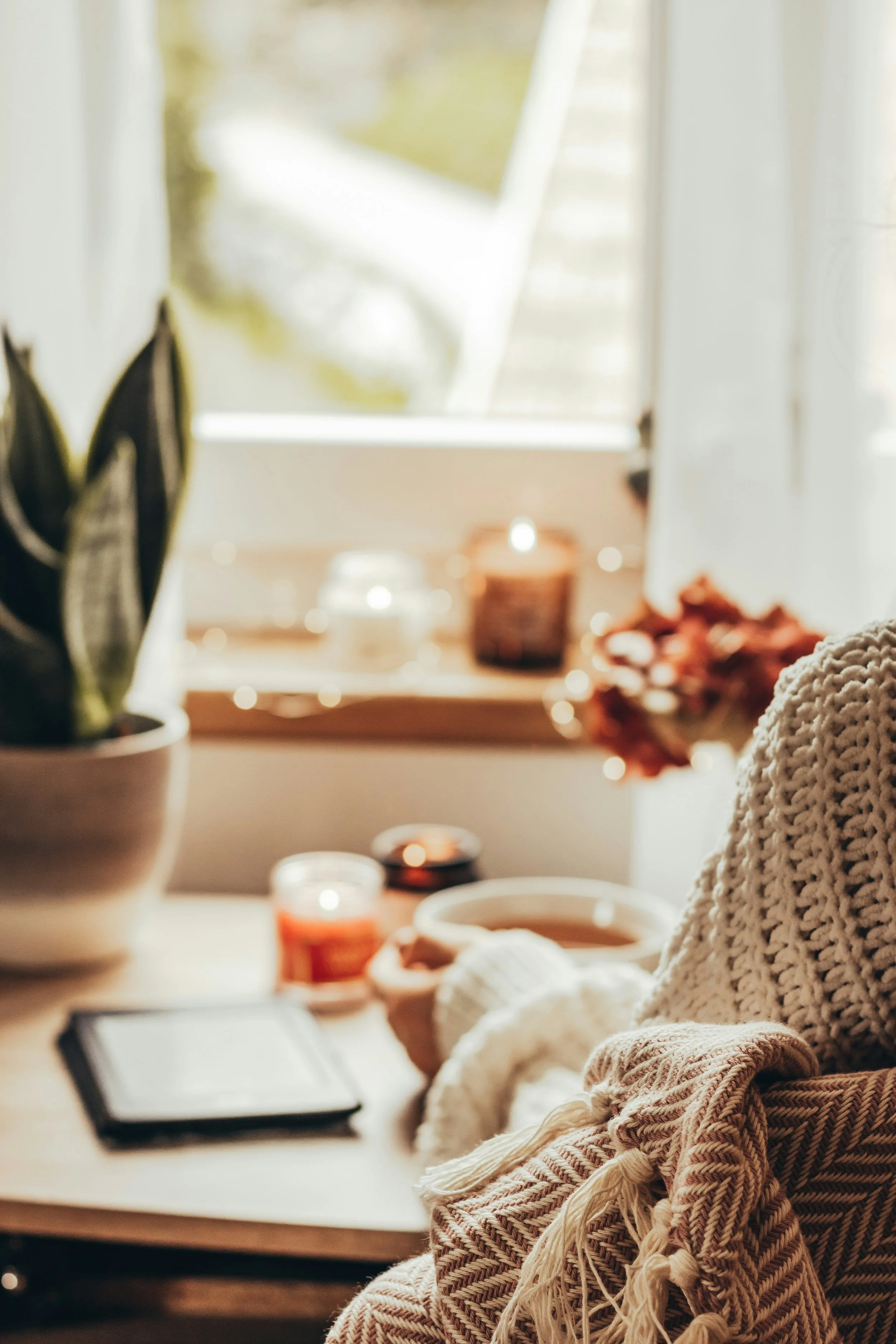Cozy indoor scene with a blanket, candles, a cup of tea or coffee, and a plant near a window.