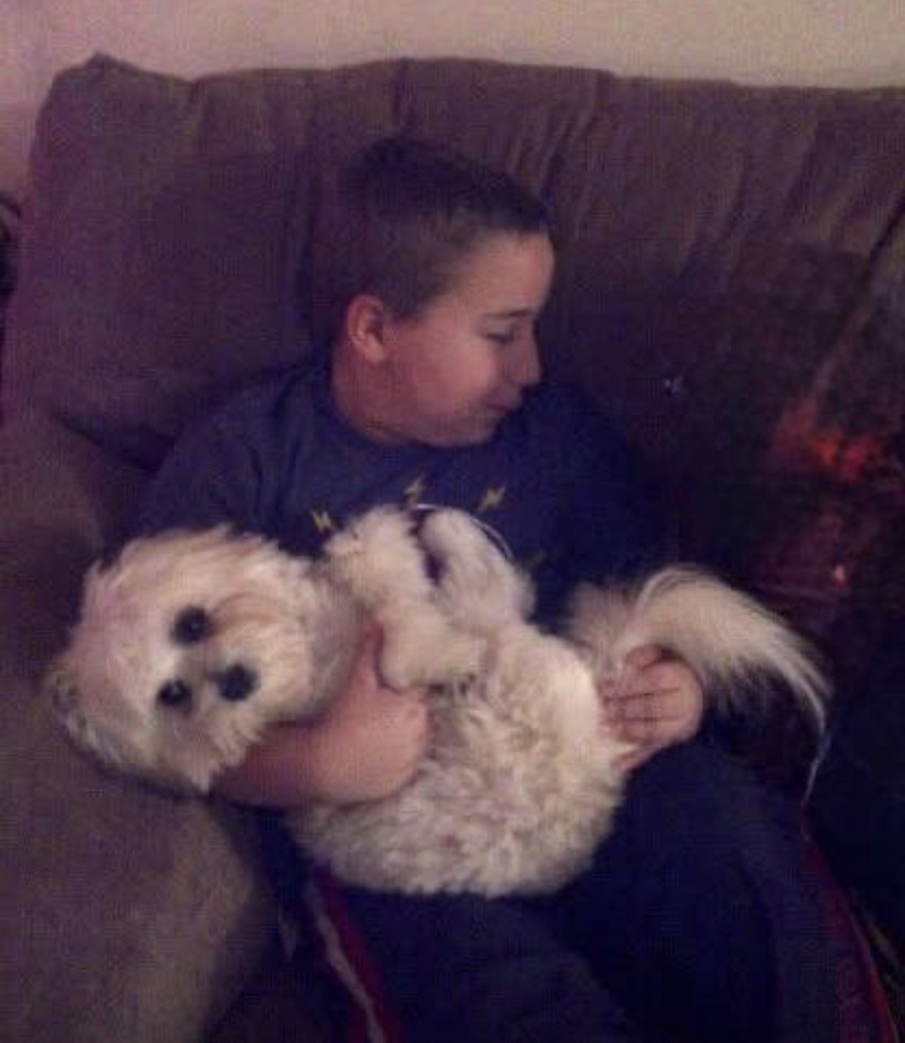 Dogs and Children: Keeping Everyone Safe at Home