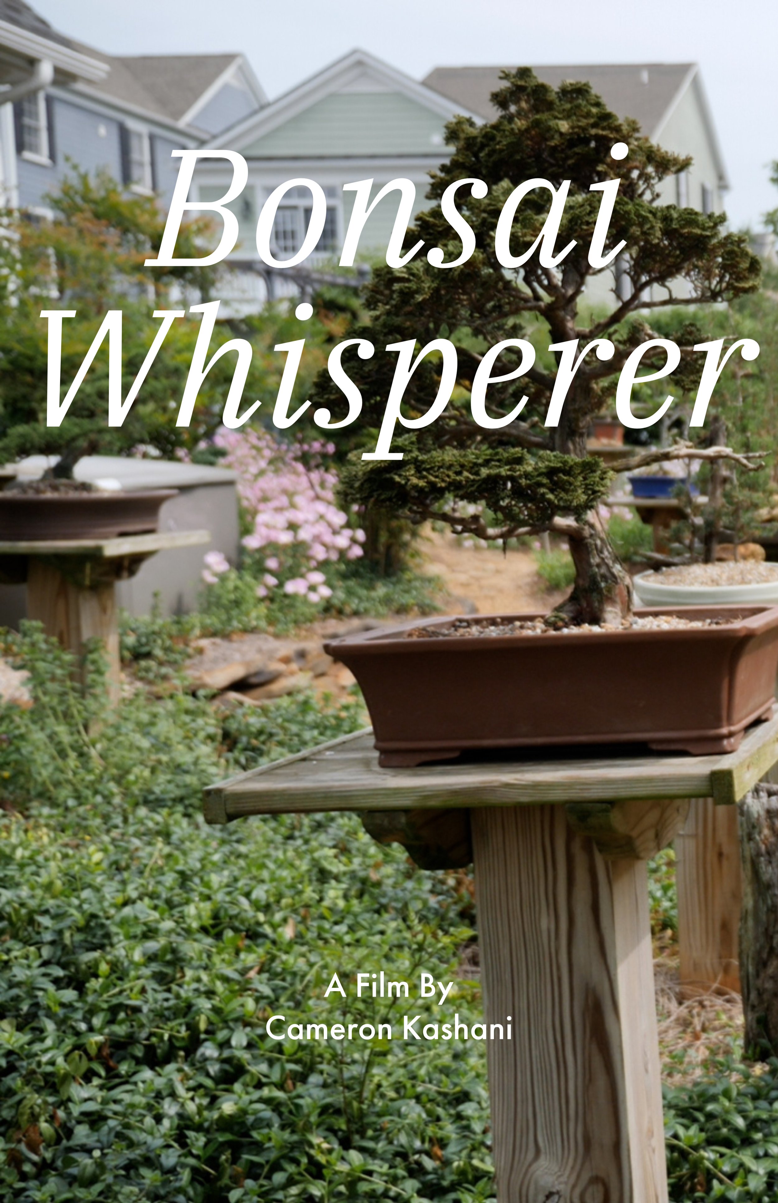 Step into the enchanted world of Bonsai. 