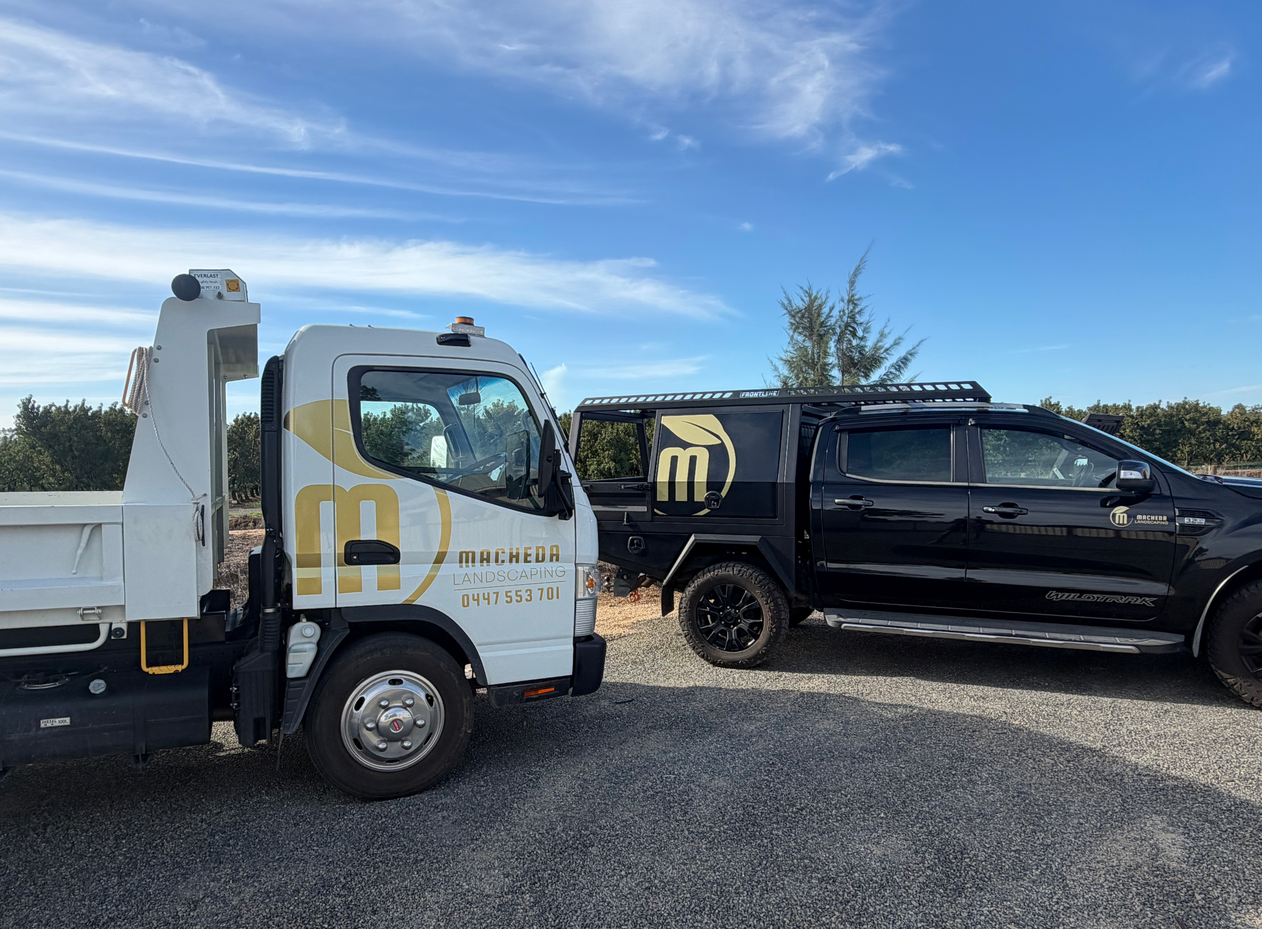 2026 First Quarter Review