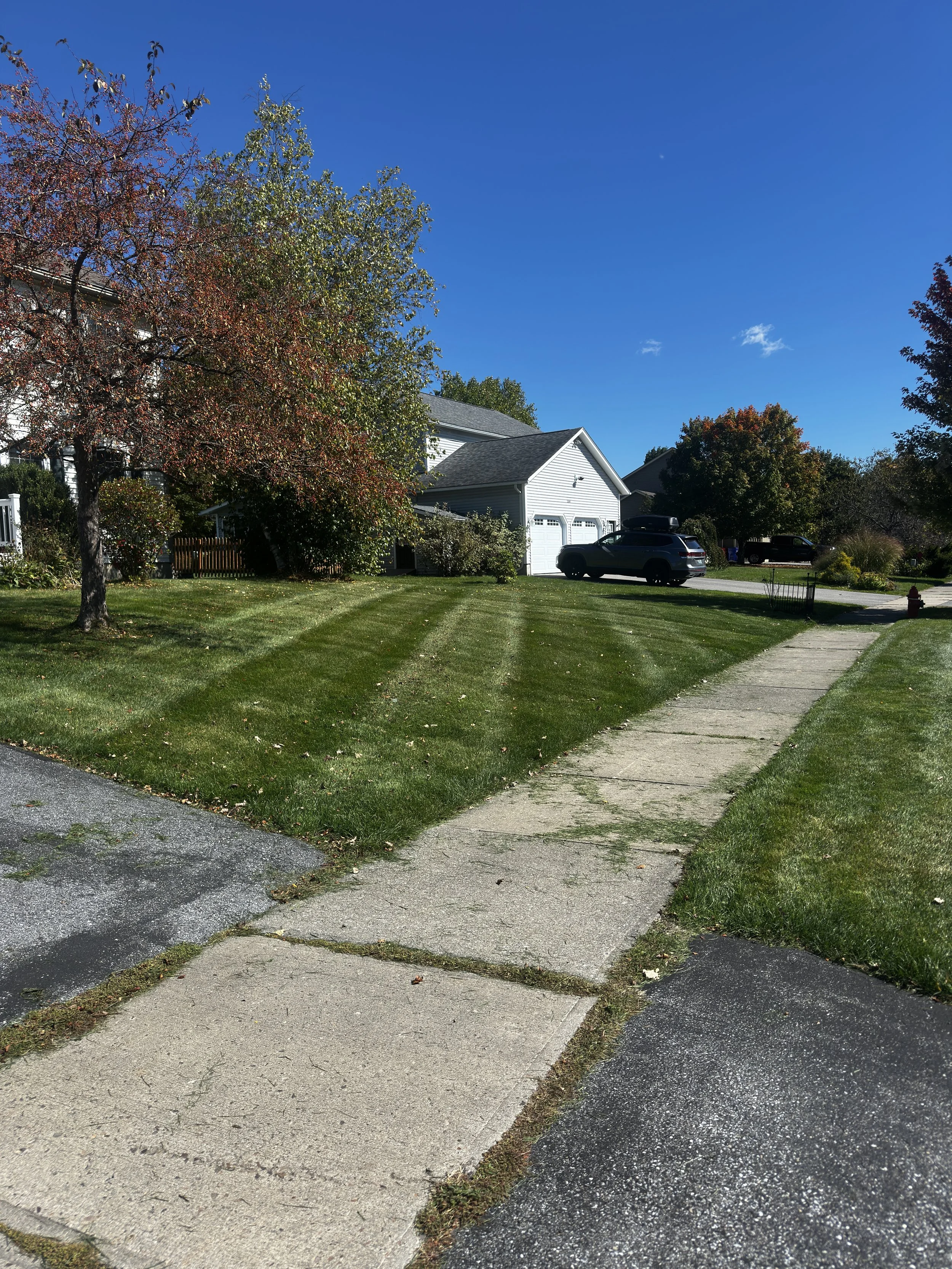 A suburban neighborhood with a well-maintained lawn, trees, a sidewalk, and houses under a bright blue sky.