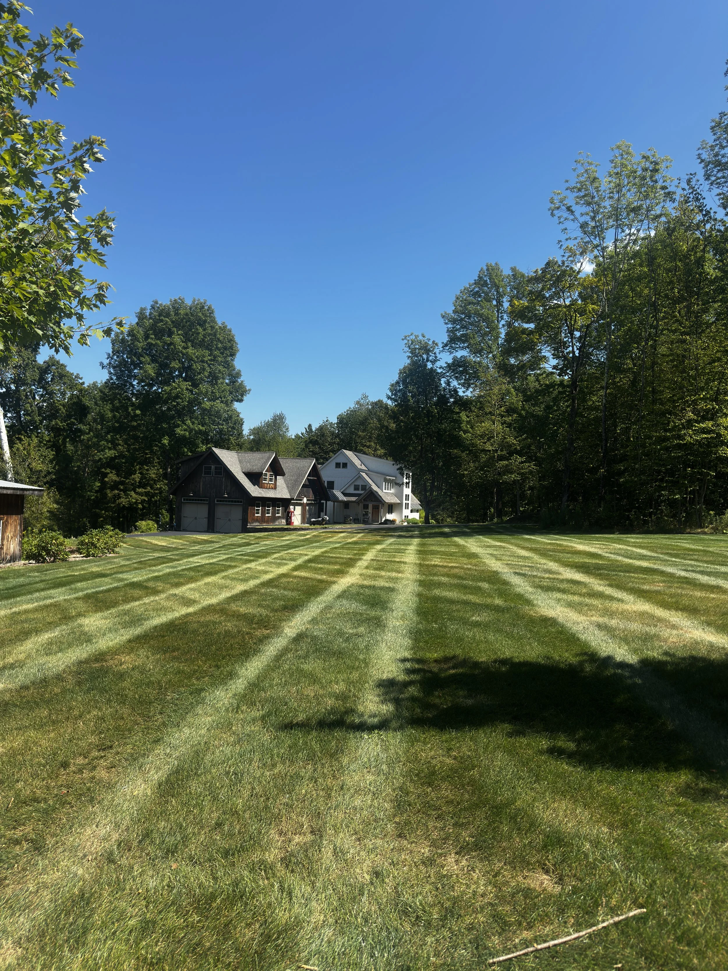 Large grassy yard with alternating mowing patterns, houses in the distance, surrounded by trees, under a clear blue sky.