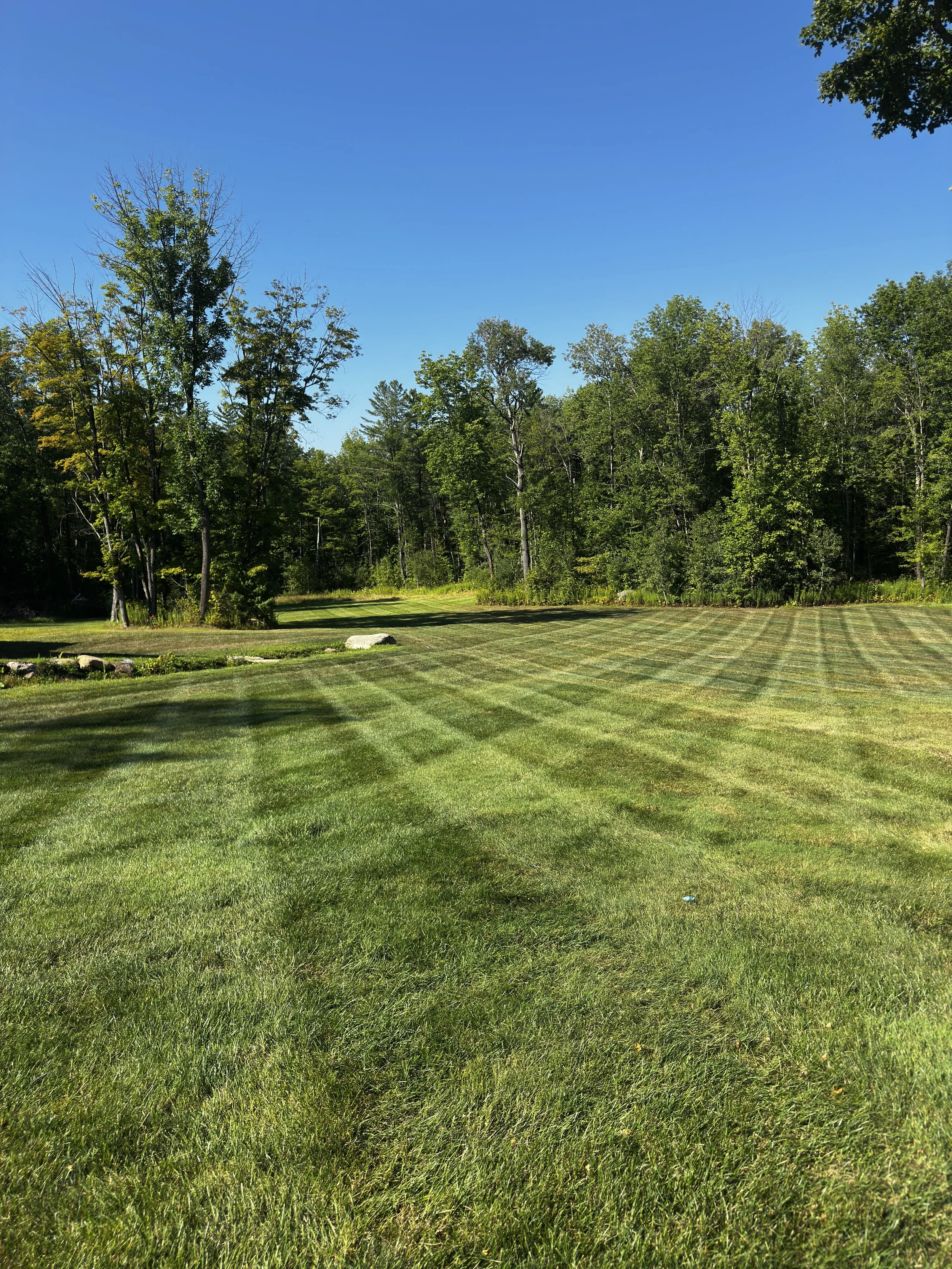 A lush green lawn with striped grass patterns, surrounded by trees under a clear blue sky.