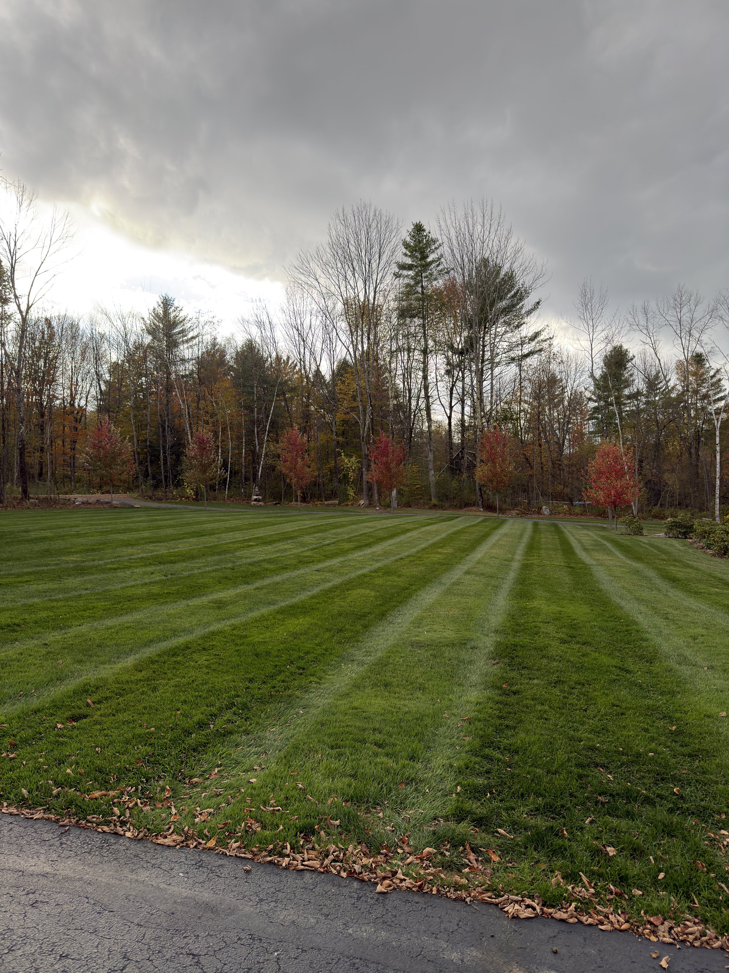 A grassy lawn with freshly mowed stripes, bordered by trees with fall foliage, under a cloudy sky.