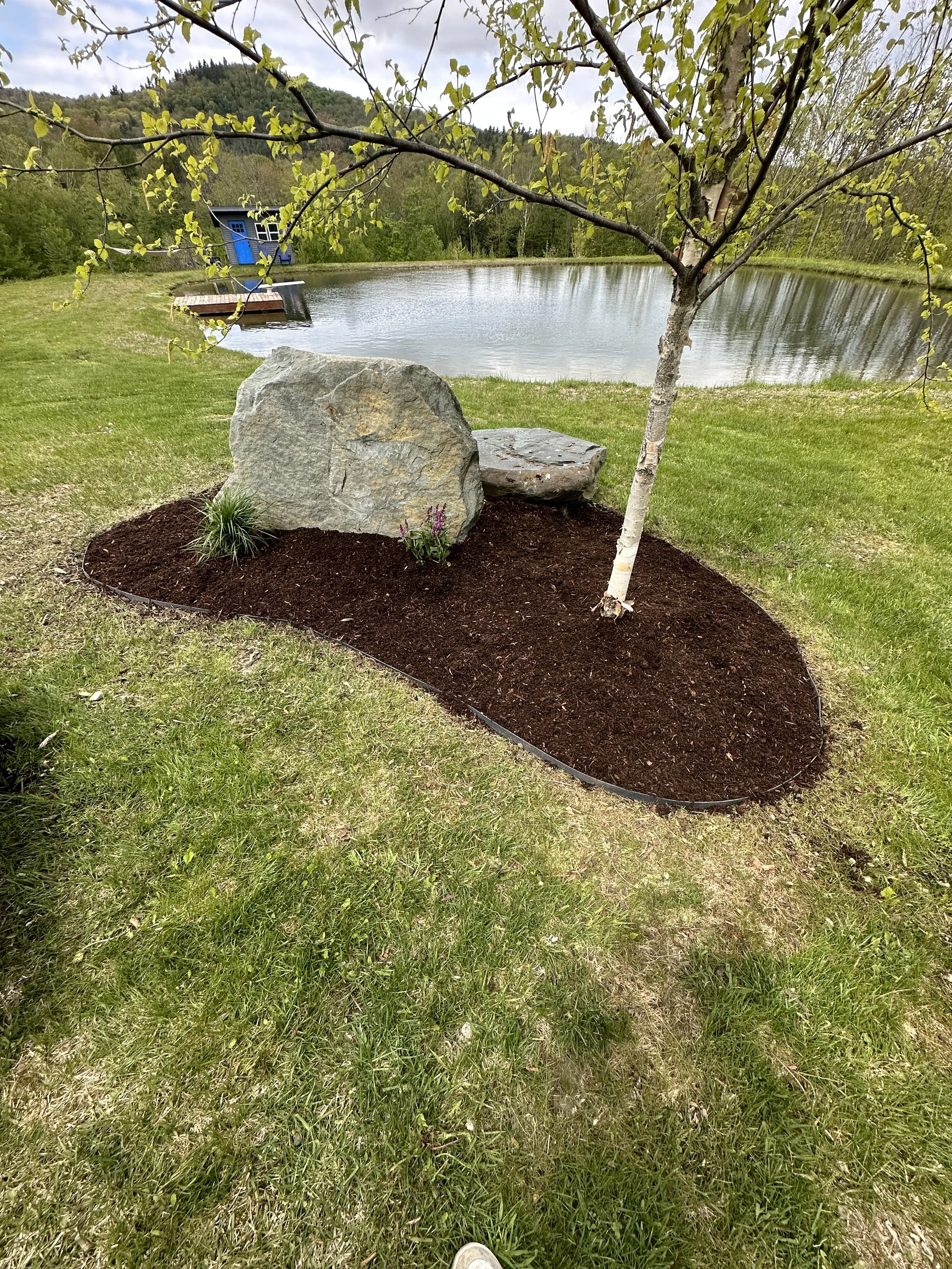 A landscaped garden area with a small tree and a large rock, bordered by dark mulch, overlooking a pond with a blue wooden structure in the background.