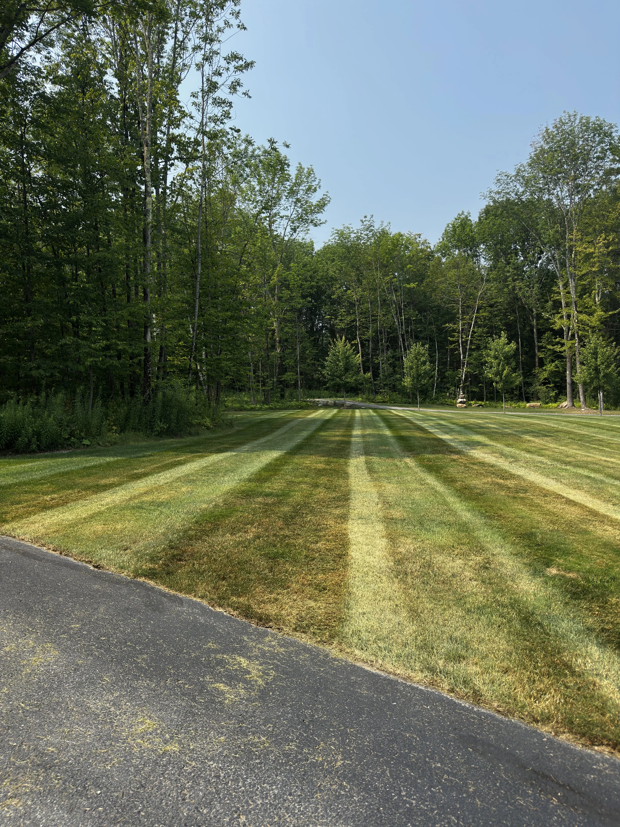 A freshly mowed lawn with alternating light and dark green stripes, bordered by a paved driveway on the left. In the background, there is a dense line of tall trees with green foliage under a clear blue sky.