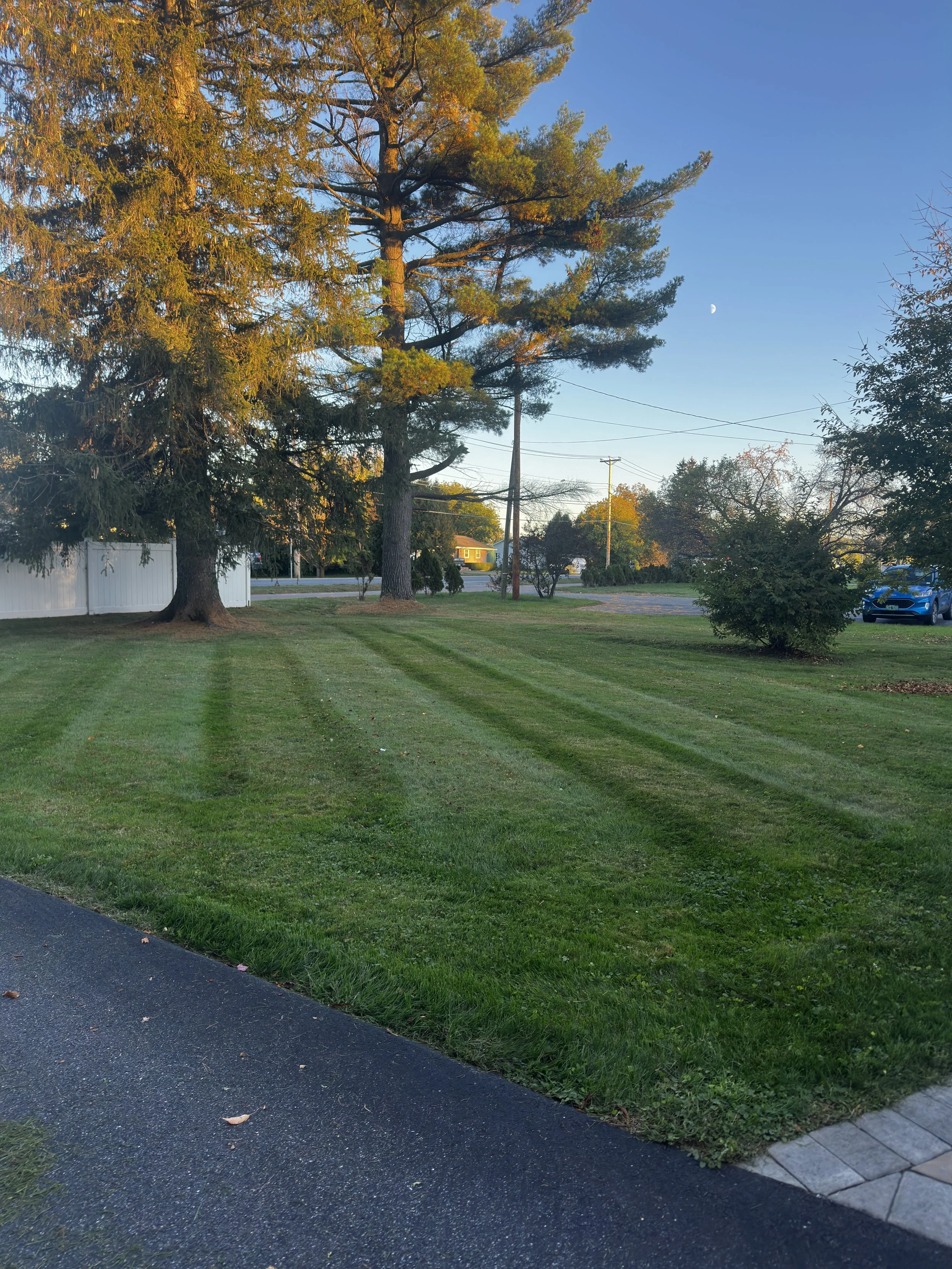 A well-maintained grassy lawn with tire tracks, large trees, a white fence, and a car parked in the distance under a clear evening sky with a visible moon.
