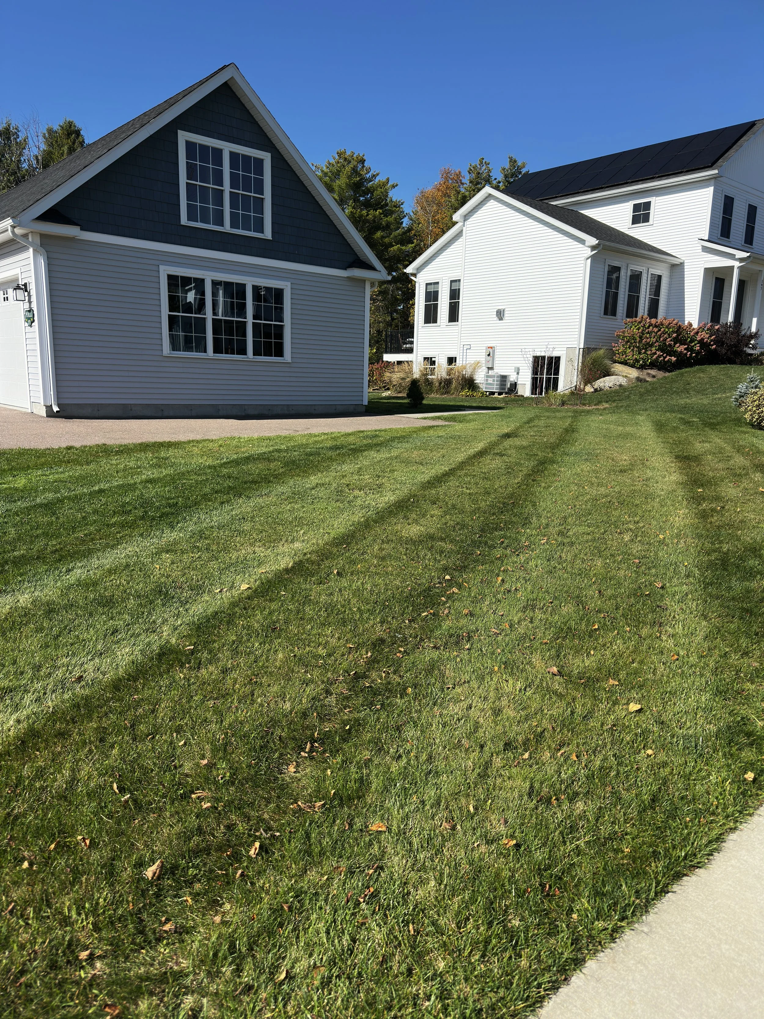 A residential backyard with well-maintained green grass, two white houses with black roofs, and a clear blue sky.