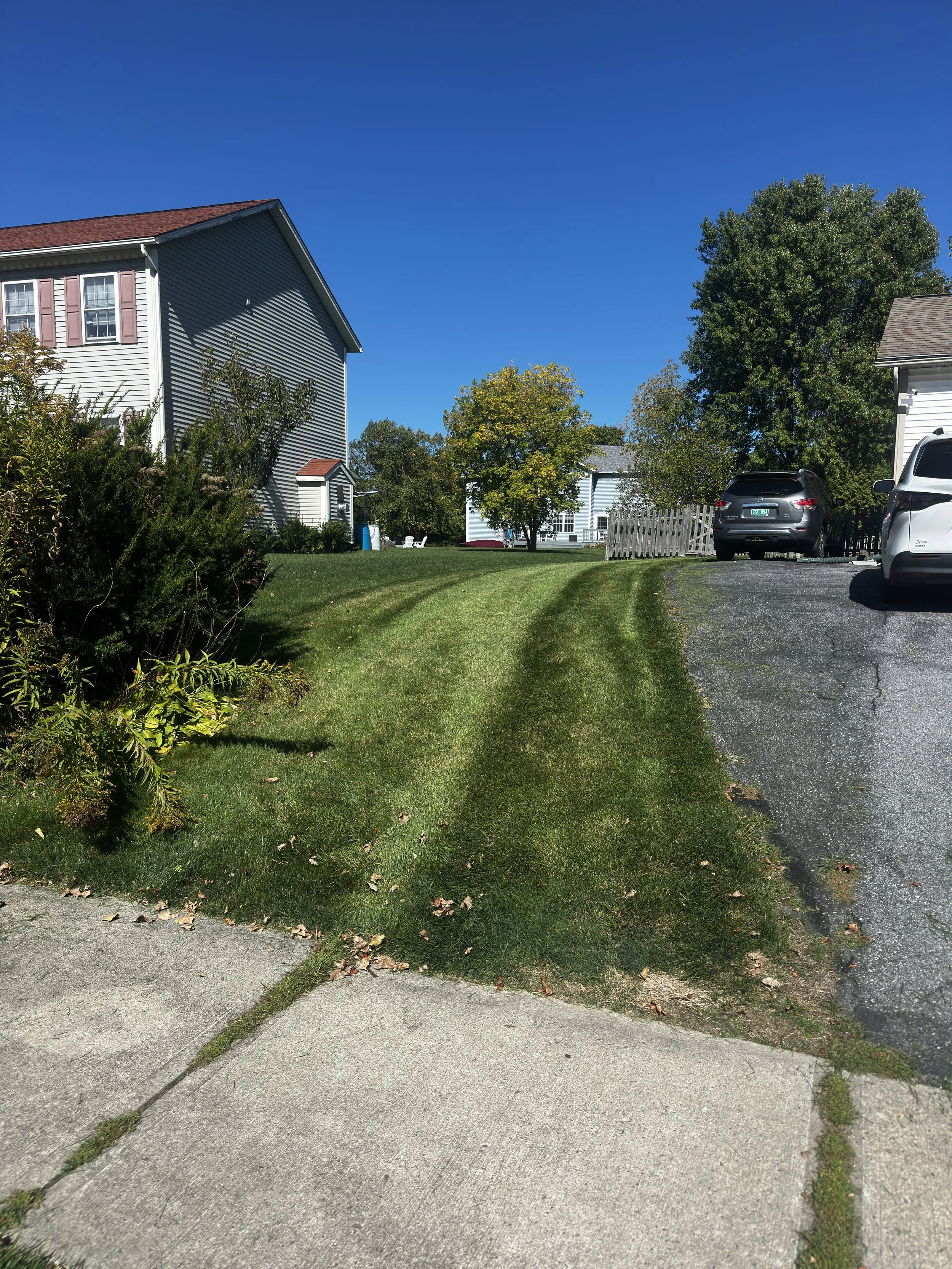 Residential backyard with neatly mowed grass, trees, and cars parked on a gravel driveway under a clear blue sky.