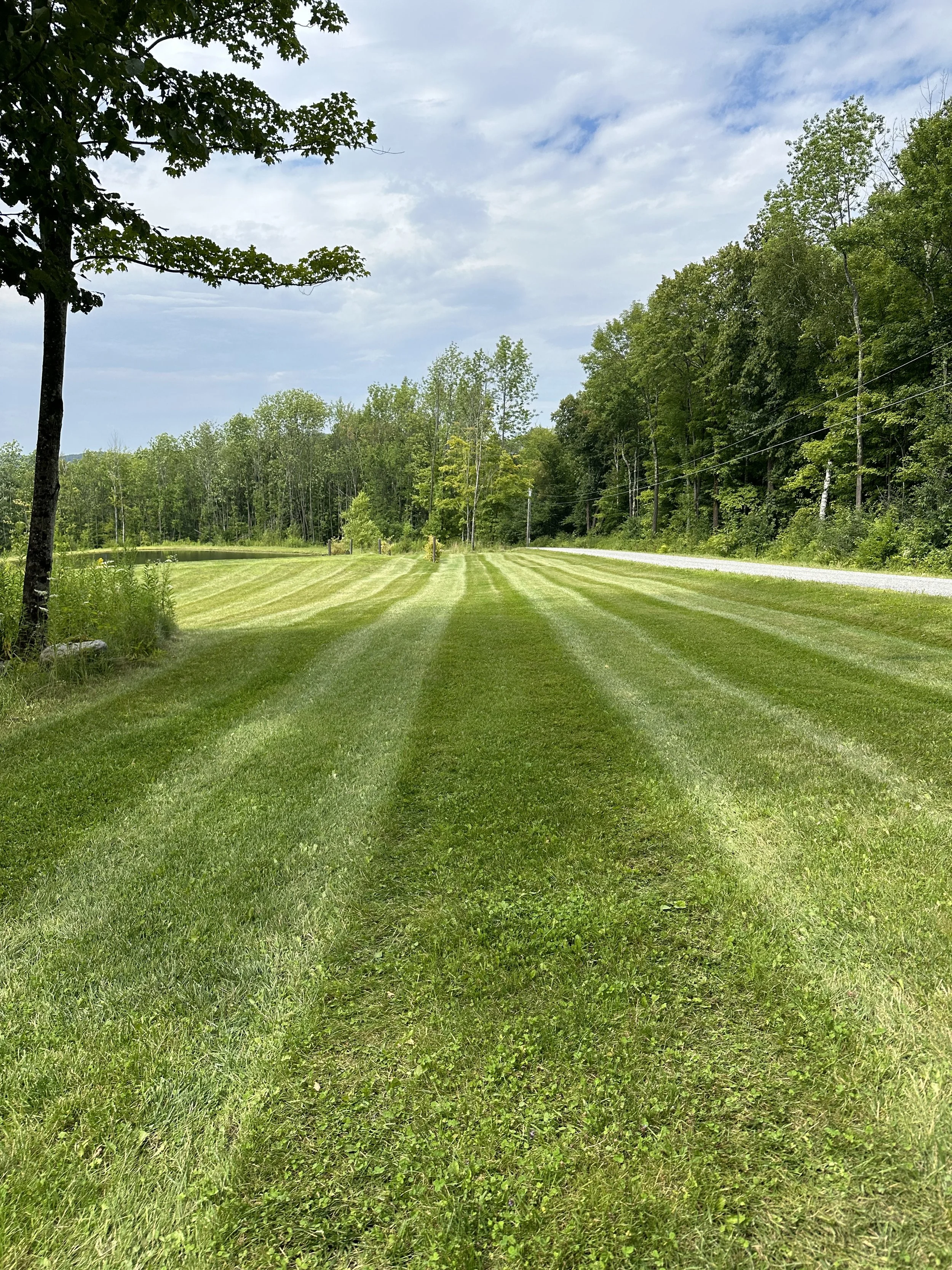 A well-maintained grassy field with bright green stripes, bordered by trees and a gravel road, under a partly cloudy sky.