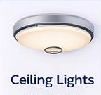 Ceiling light fixture with a round frosted glass cover and metal trim, labeled 'Ceiling Lights'.