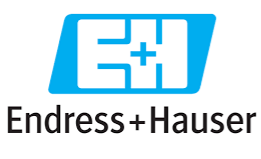 LOGO E+H