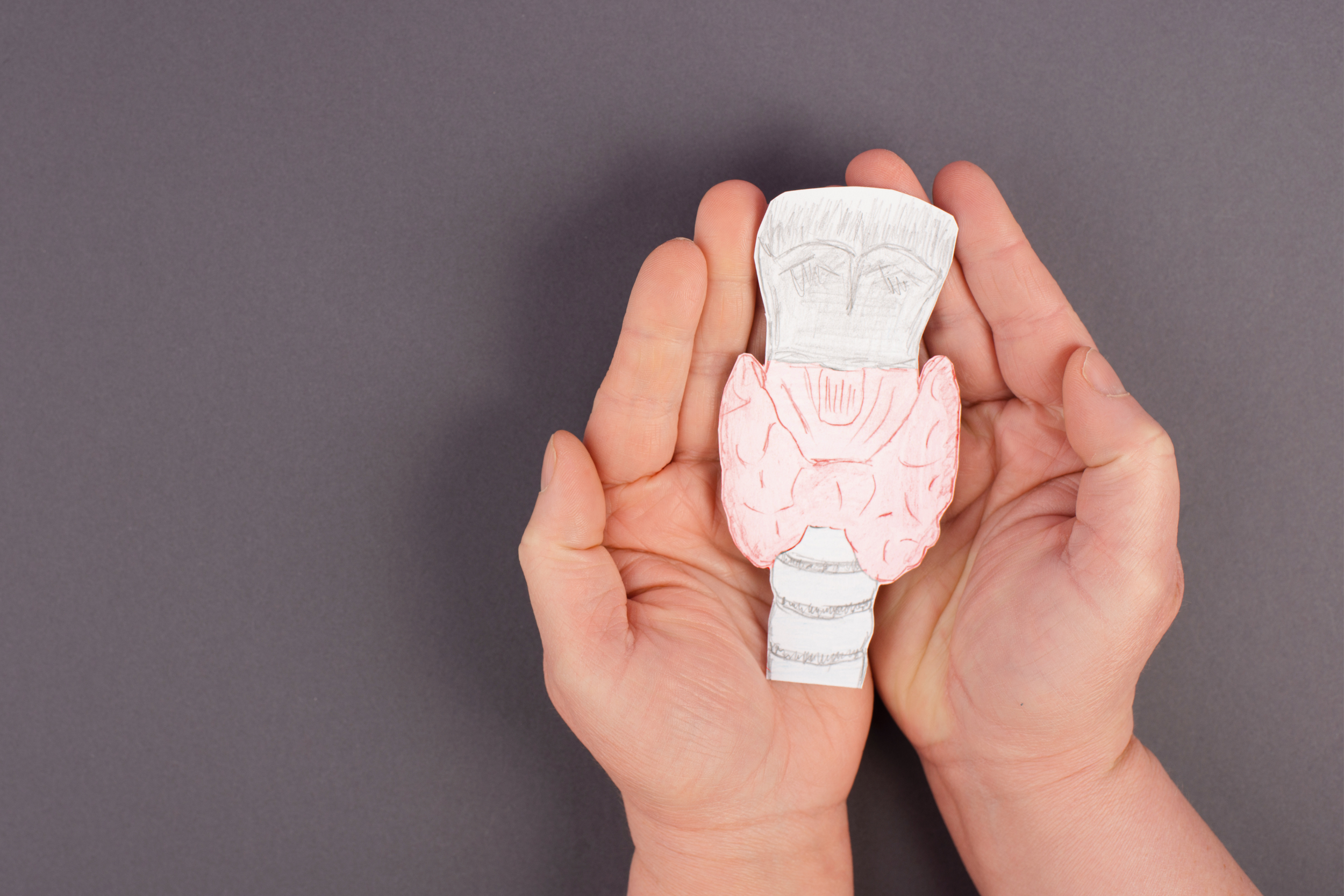 A Holistic Understanding of Thyroid Imbalance