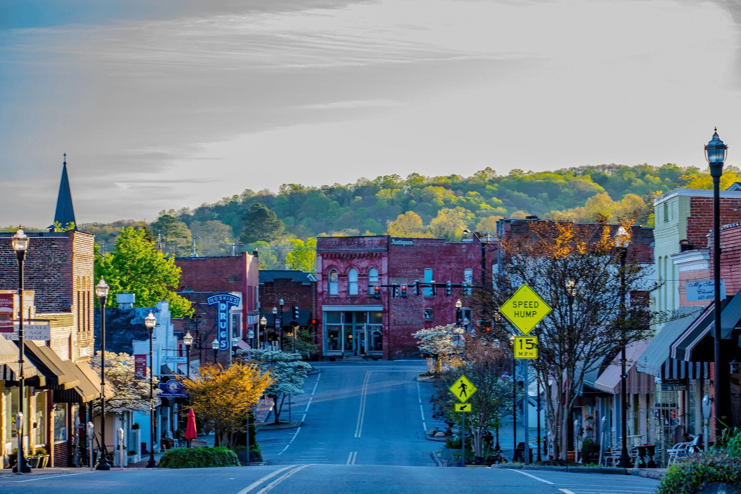 Empty Main Street in a small town with shops, trees, and a traffic light, with a hill covered in trees in the background.
