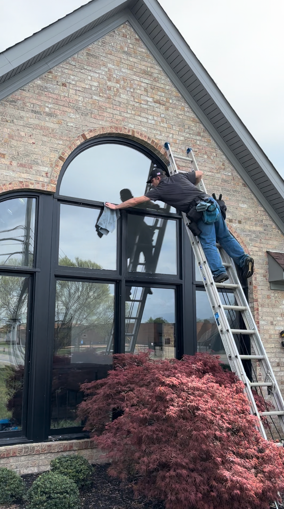A man cleaning or maintaining the large, arched window of a brick house using a ladder, with a bush and small trees in the foreground.