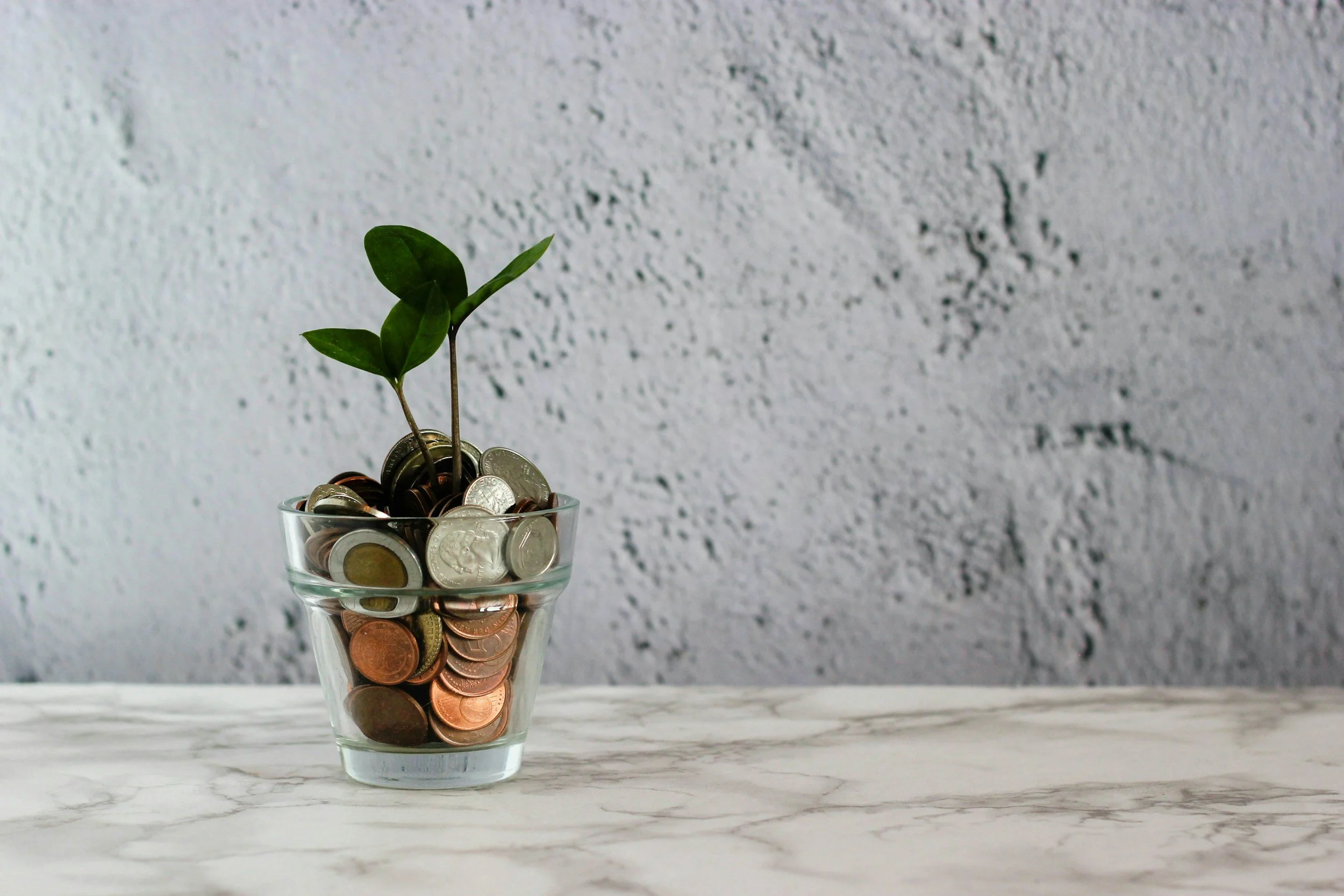 A clear glass cup filled with various coins, with a small green plant growing out of the coins.