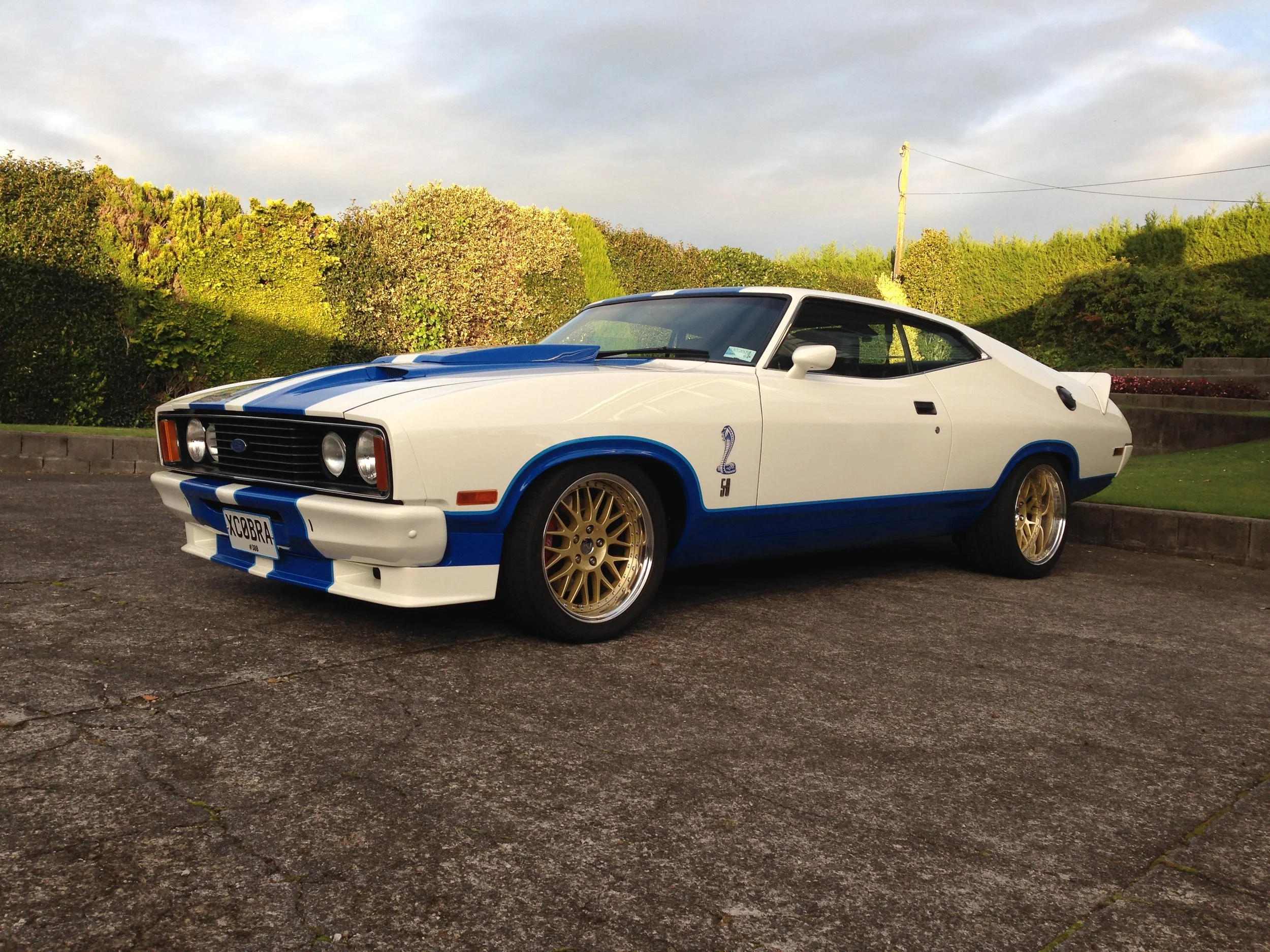 Cobra 2 2015-06-09 16.28.38.jpg