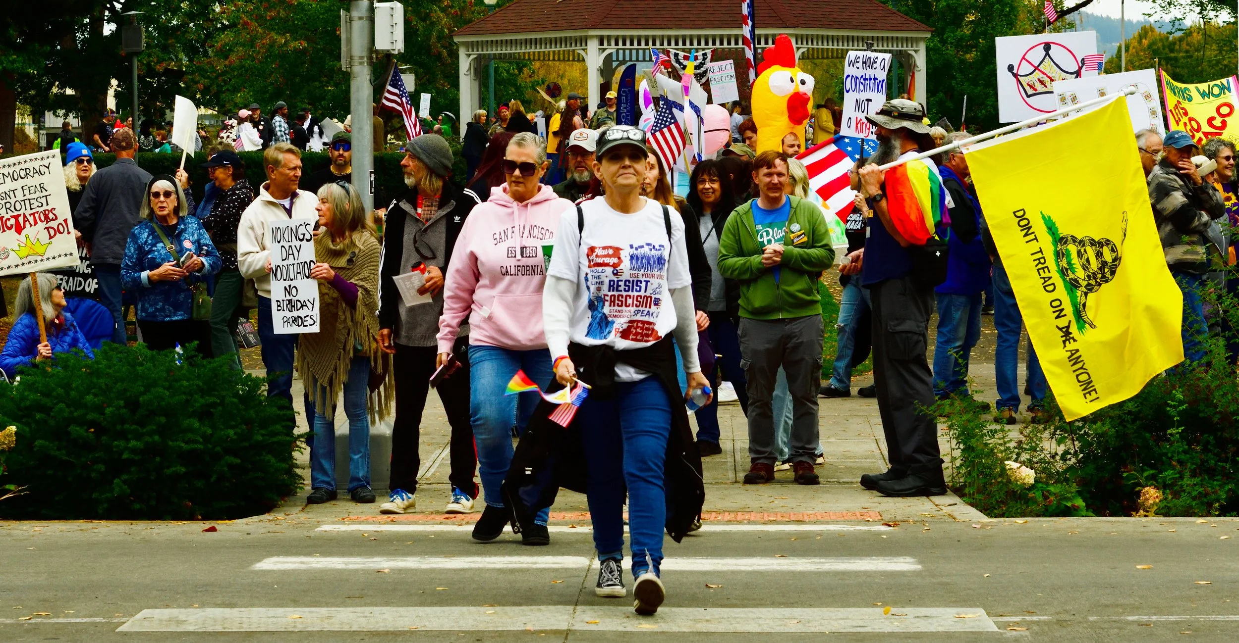 Group of people participating in a protest or demonstration, holding signs and flags, gathered in an outdoor park with a gazebo in the background.