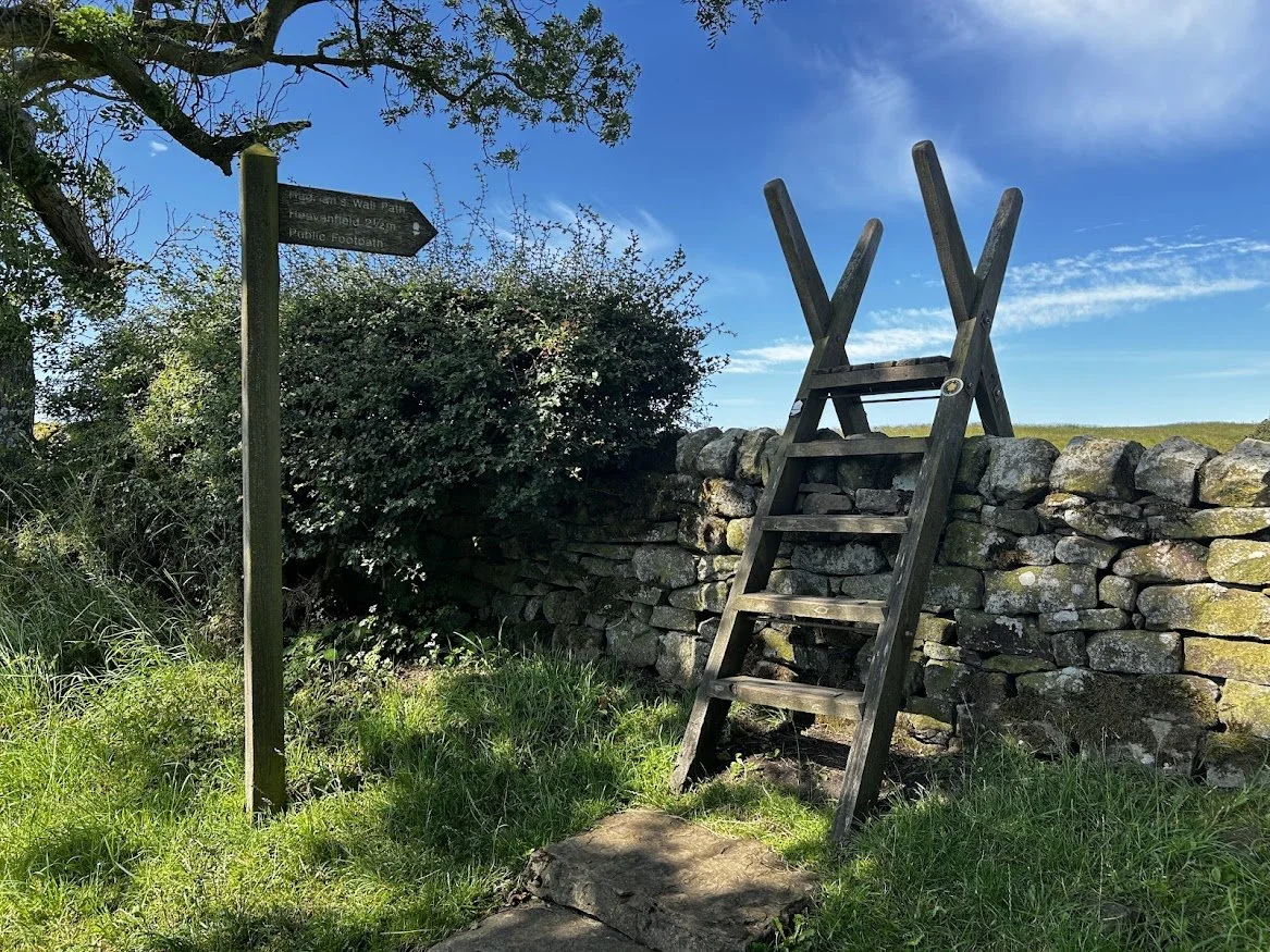step ladder to cross a stone wall with green grassy area and a signpost for trail blue skies