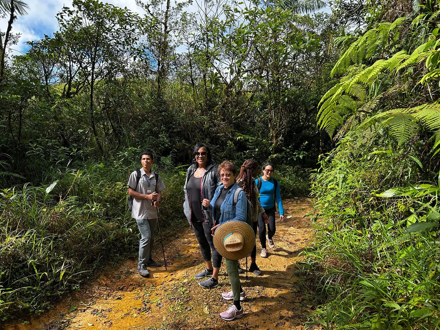 Group of five diverse women and one man hiking on a forest trail surrounded by dense green foliage on a sunny day.
