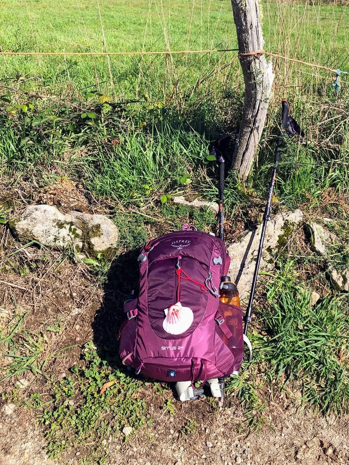 osprey hiking backpack with camino shell and hiking poles next to the field with rocks and grass