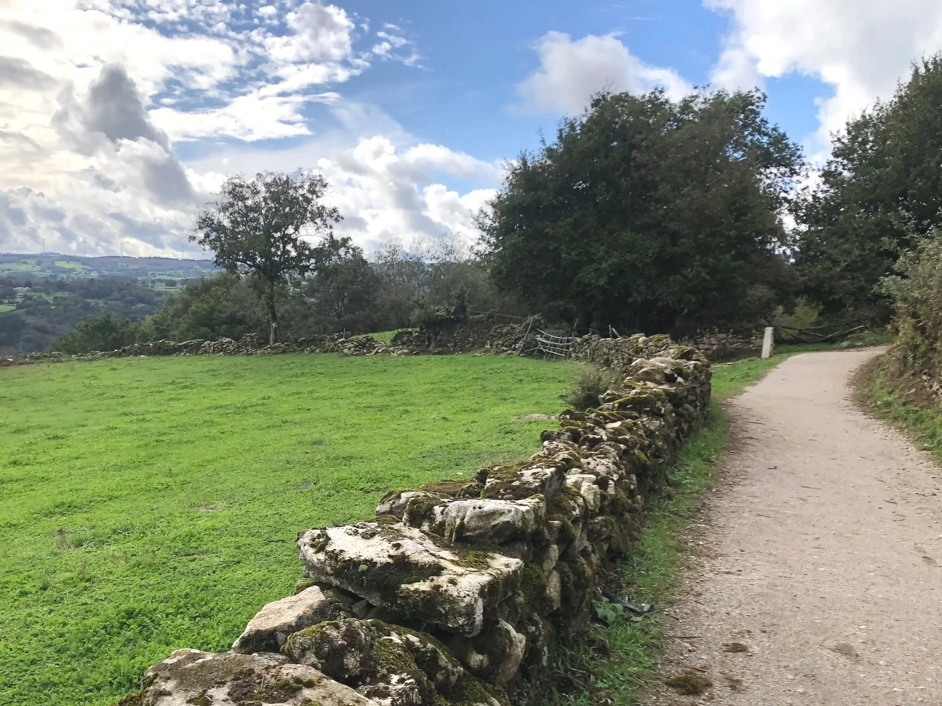 Dirt path with stone walls and a green field and trees with blue skies and some clouds