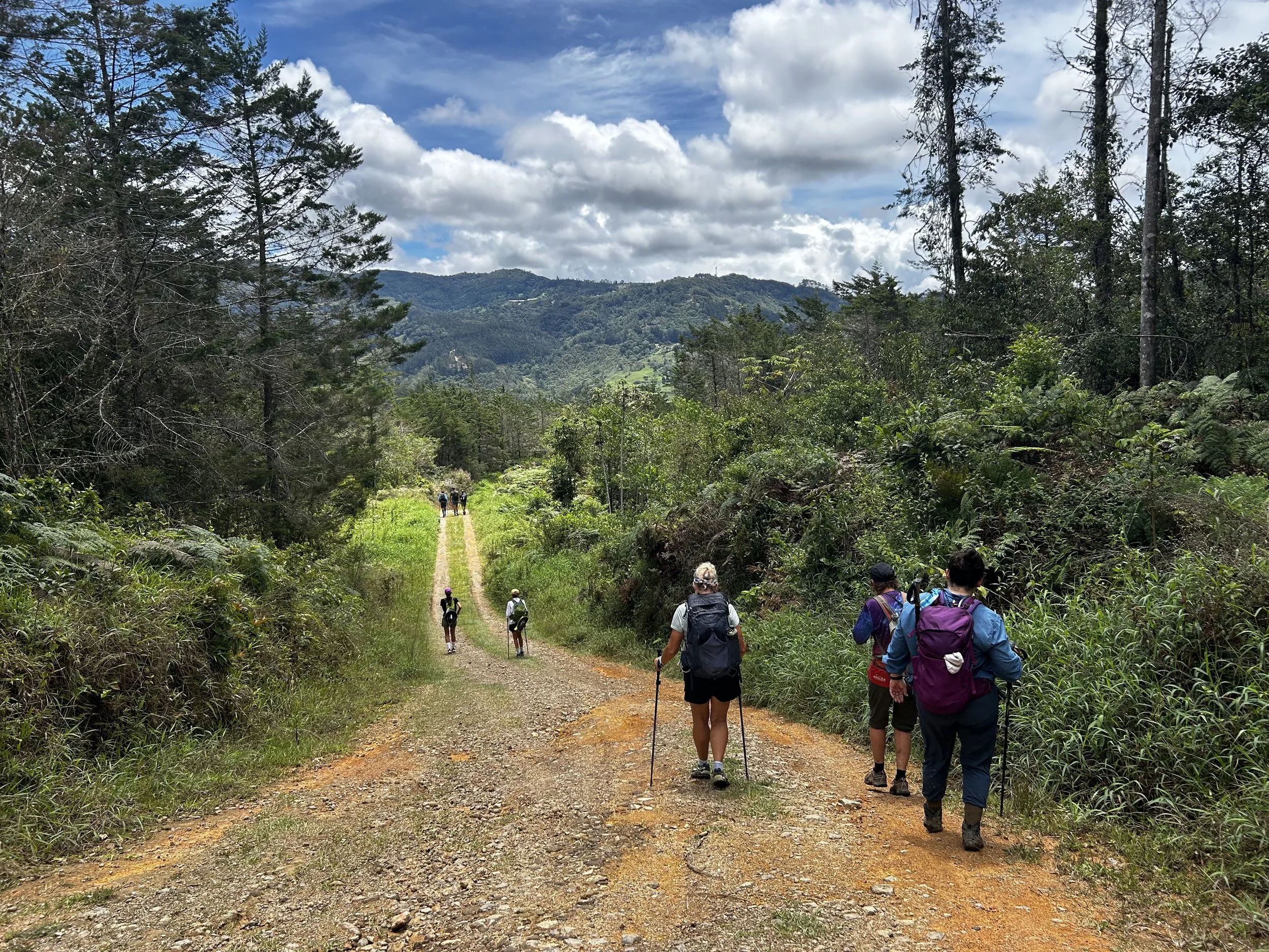 several women hikers on red earth trail in countryside forest landscape in costa rica with backpack and hiking poles