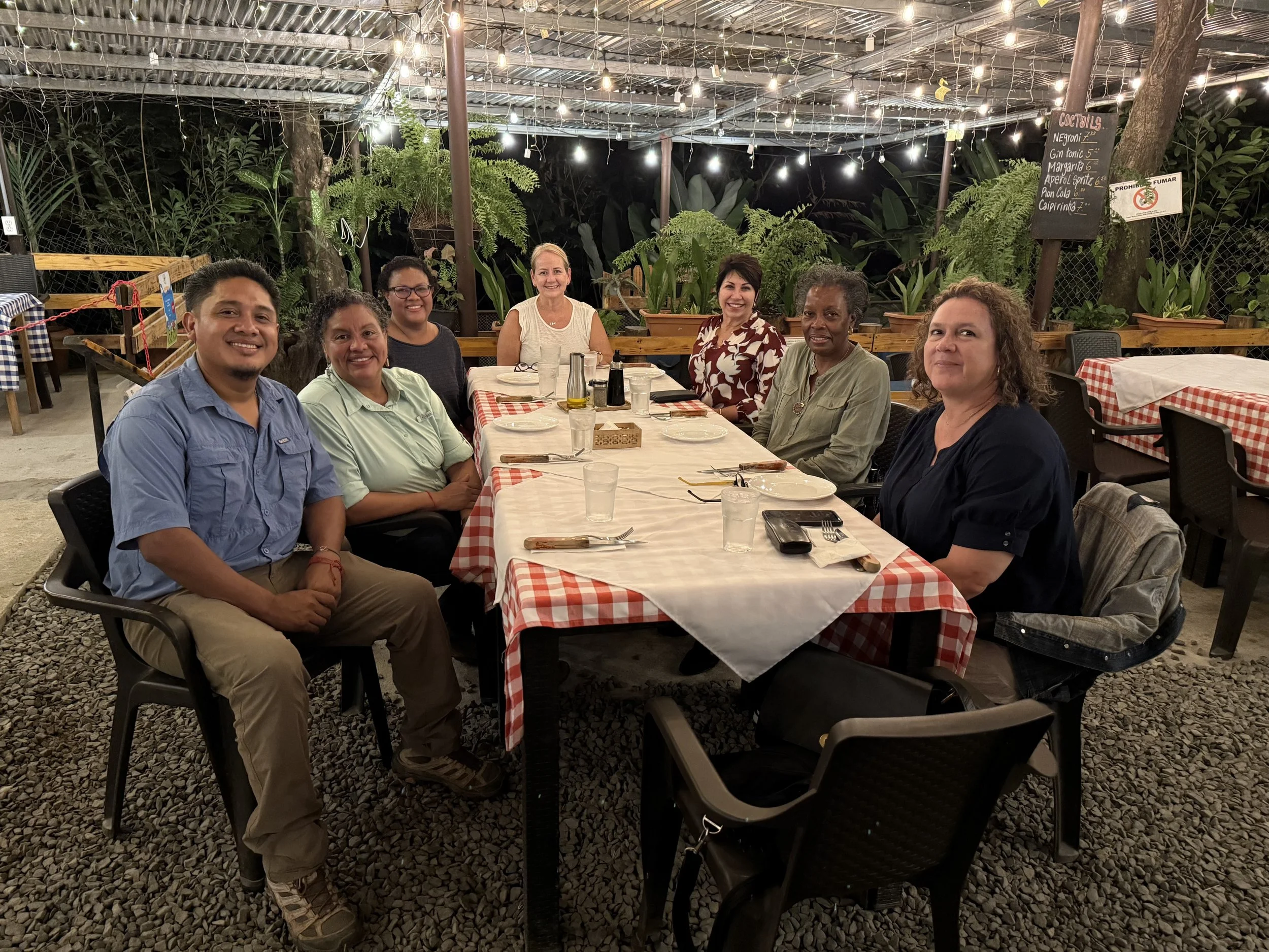A group of seven people sitting at a long dining table with red and white checkered tablecloth, under string lights and a metal roof, in an outdoor patio decorated with green plants and trees, at night.