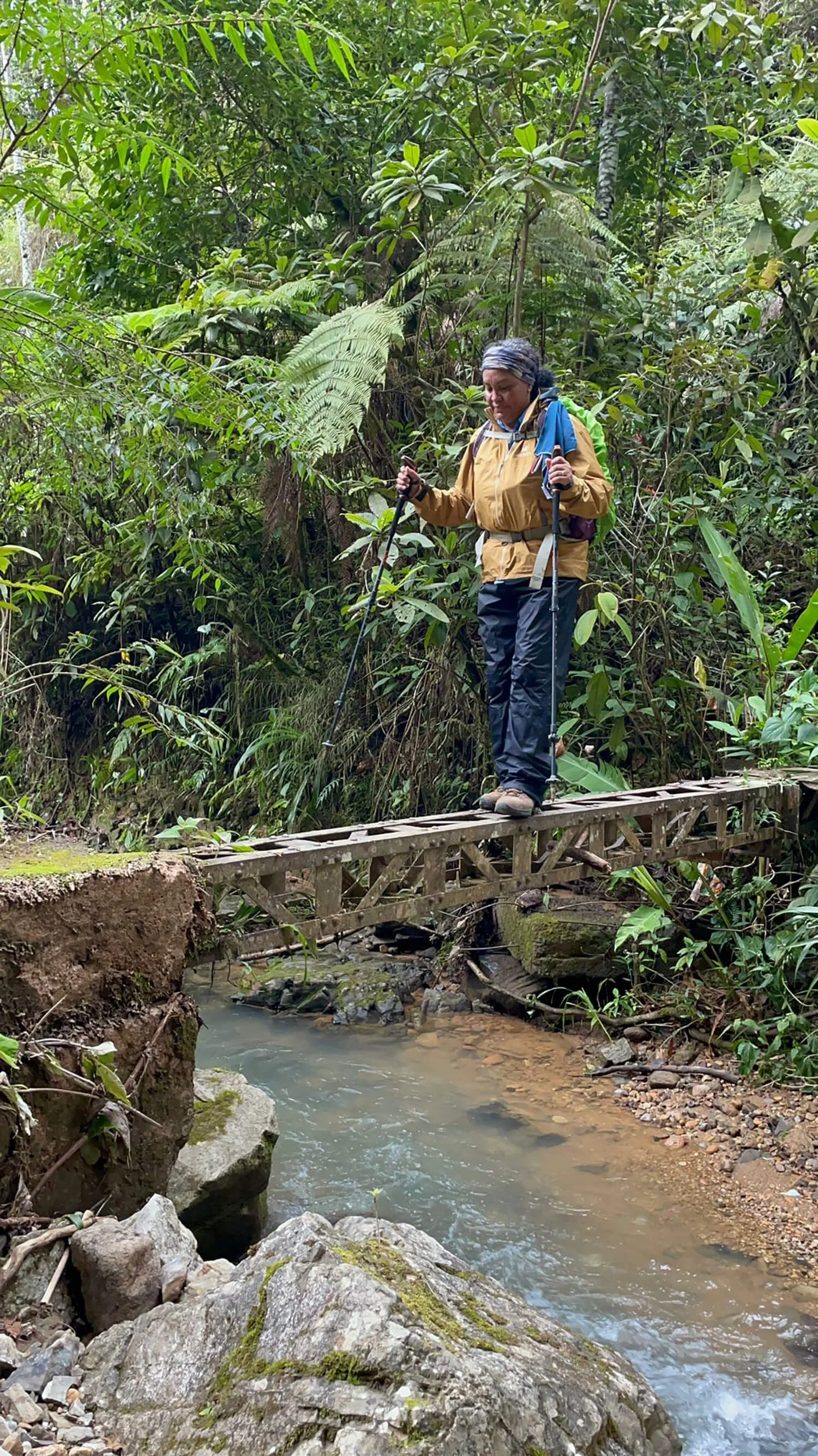 woman hiker walking over thin bridge in forest with hiking poles backpack and rain jacket