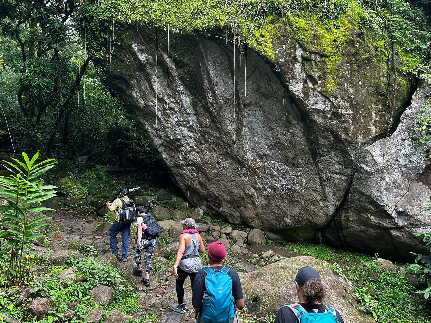 Group of hikers in a lush green forest approaching a large moss-covered boulder.