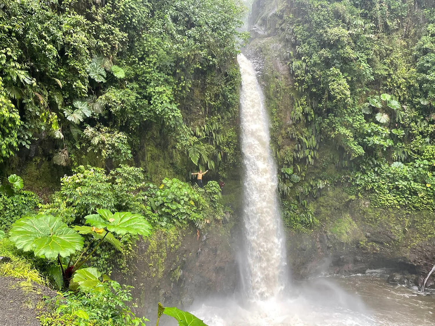 thundering waterfall from a mountainside in costa rica with green lush vegetation