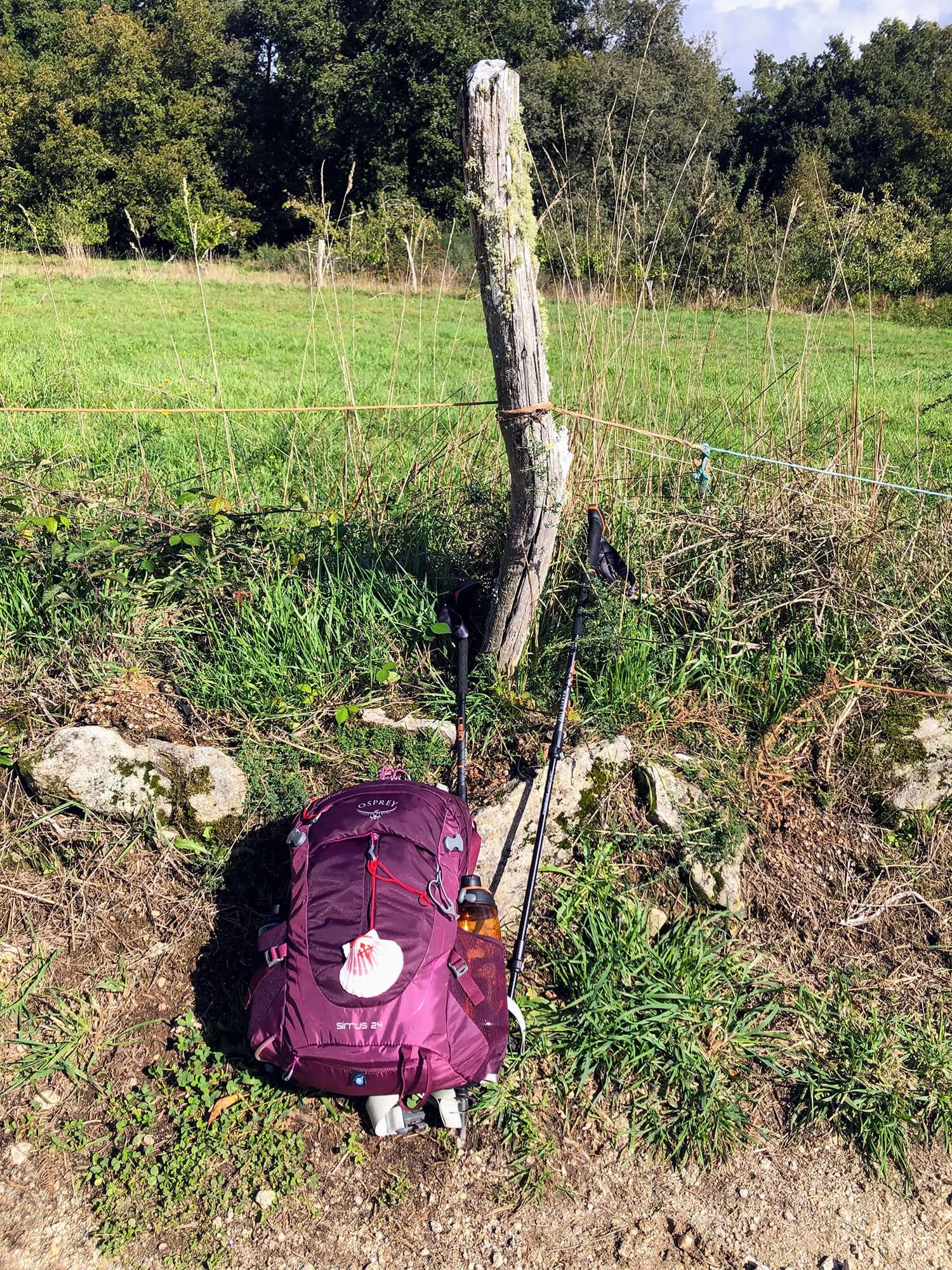 A pair of trekking poles and a pink hiking backpack resting on the ground next to a wooden fence post in a grassy field with trees in the background.