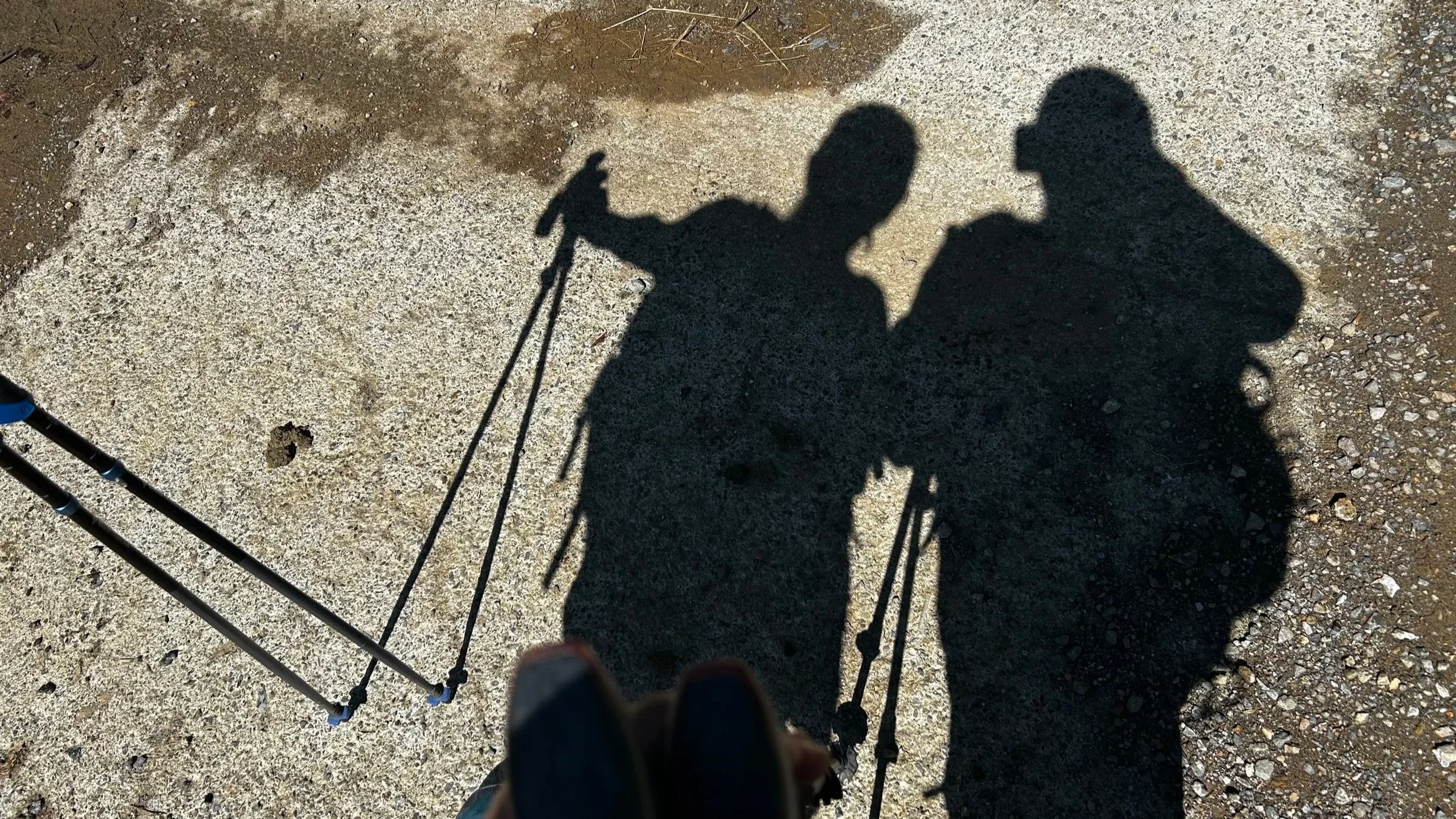 Shadow of a person holding trekking poles and their head, cast on a gravel ground during daytime.