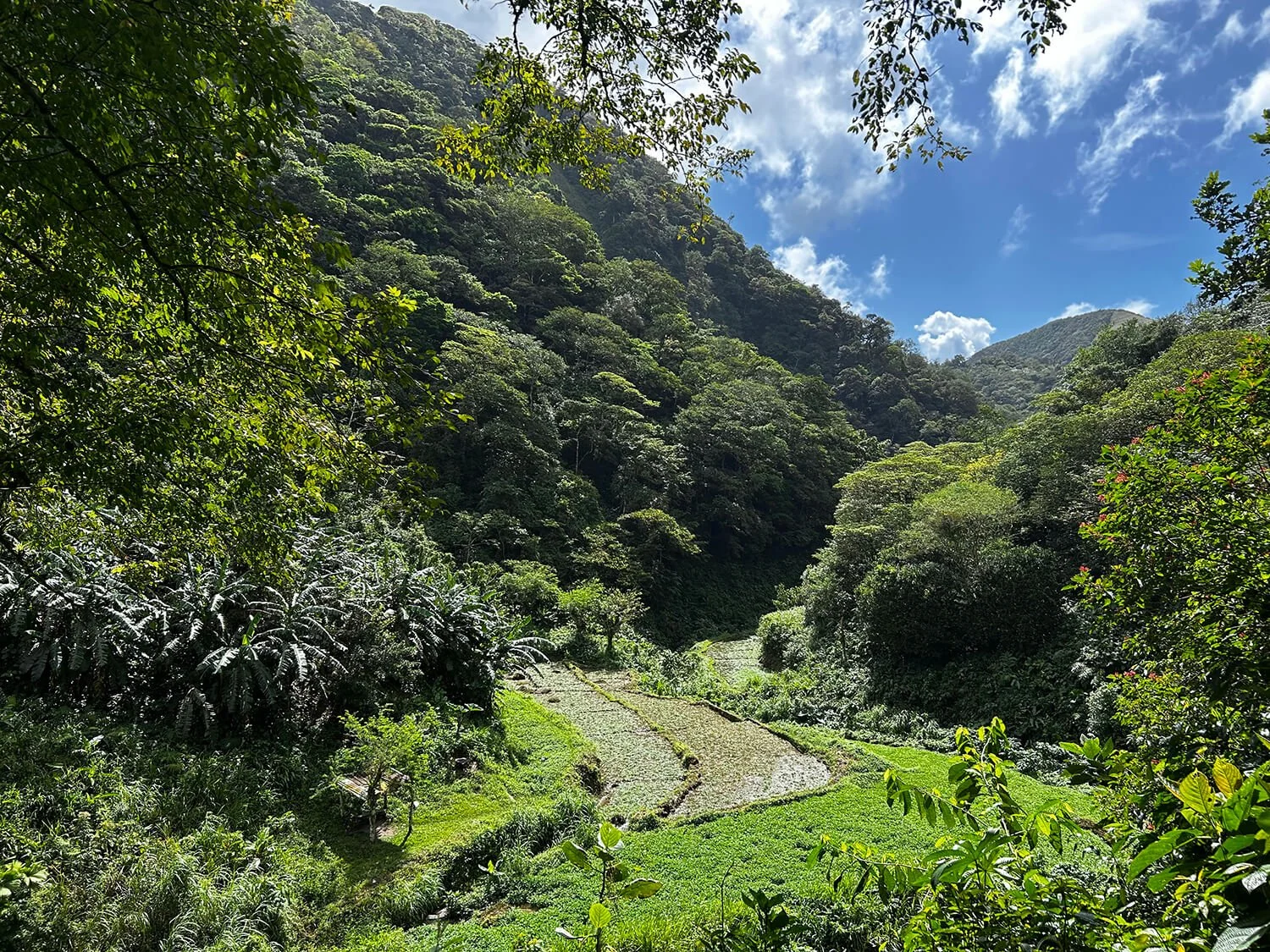 Lush green mountains surround terraced farmland with patches of water and vegetation under a blue sky with scattered clouds.