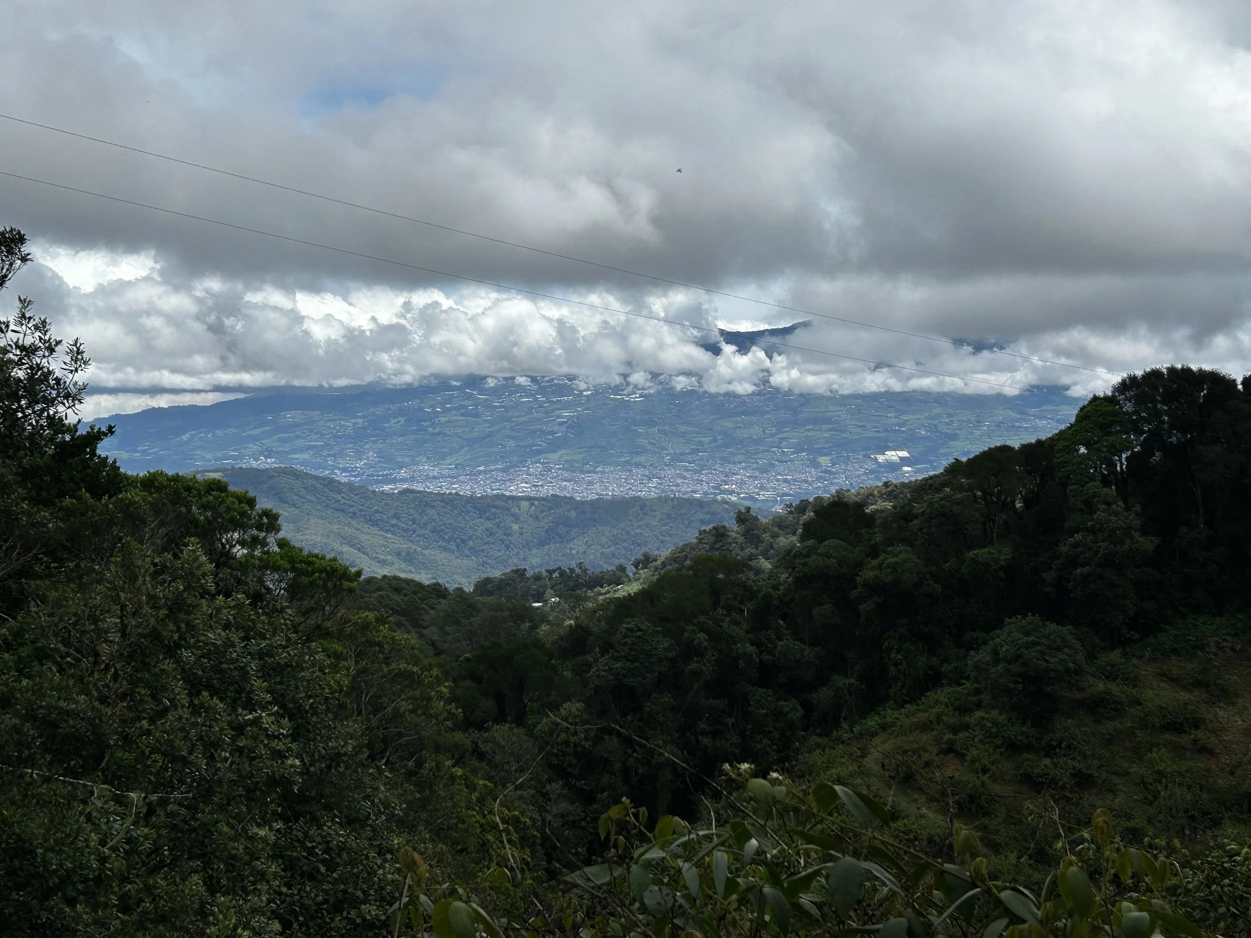 View of mountains and a cloudy sky, with dense green forest in the foreground.