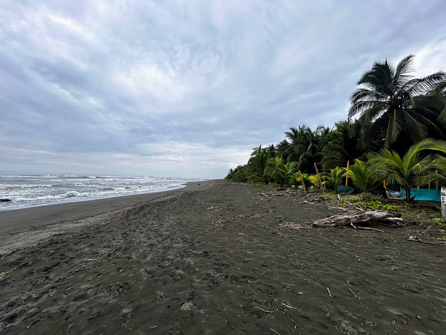 costa rica caribbean black sand beach tropical coconut trees surf sea cloudy