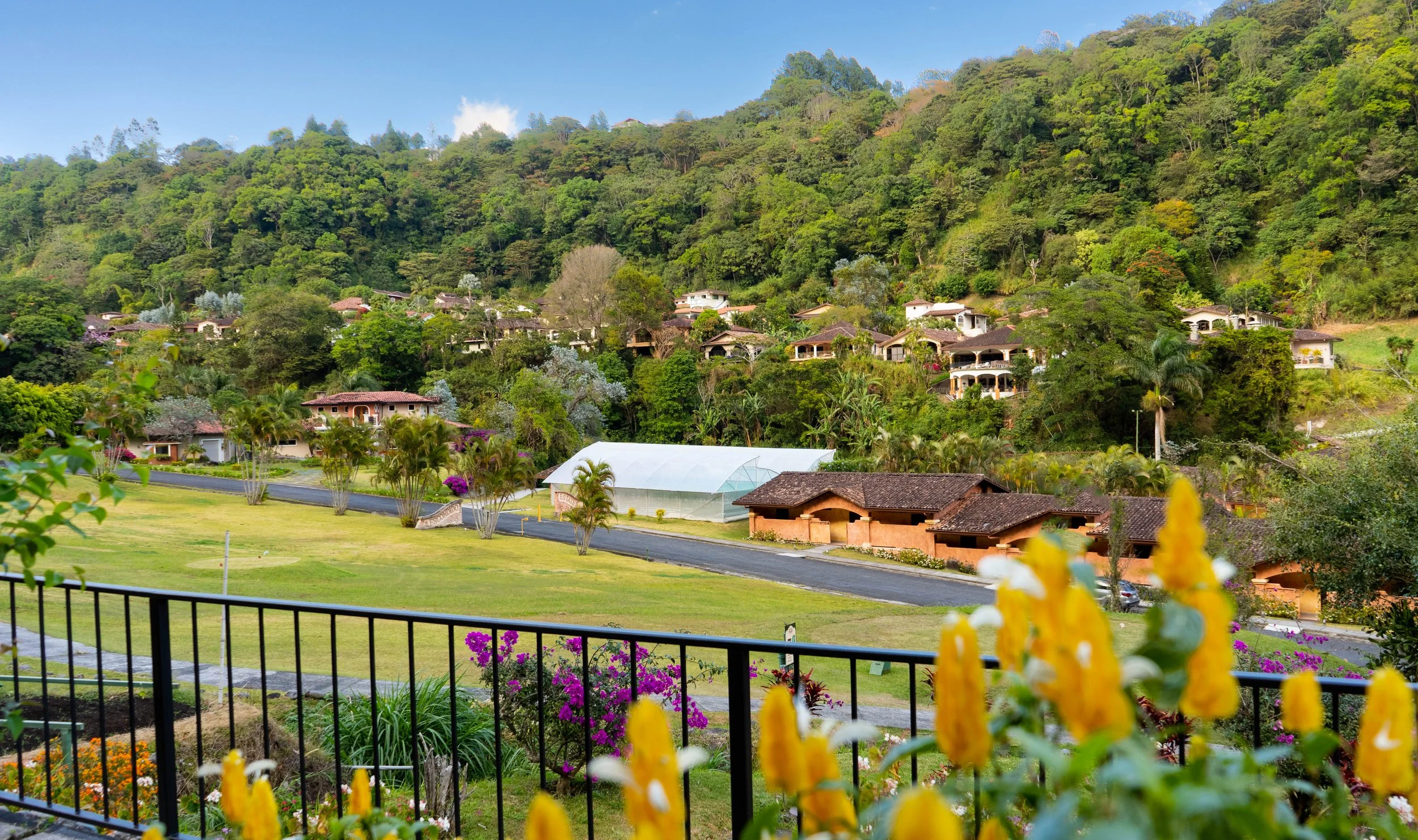 View of a hillside neighborhood with several houses surrounded by lush green trees and plants, with a clear blue sky overhead.