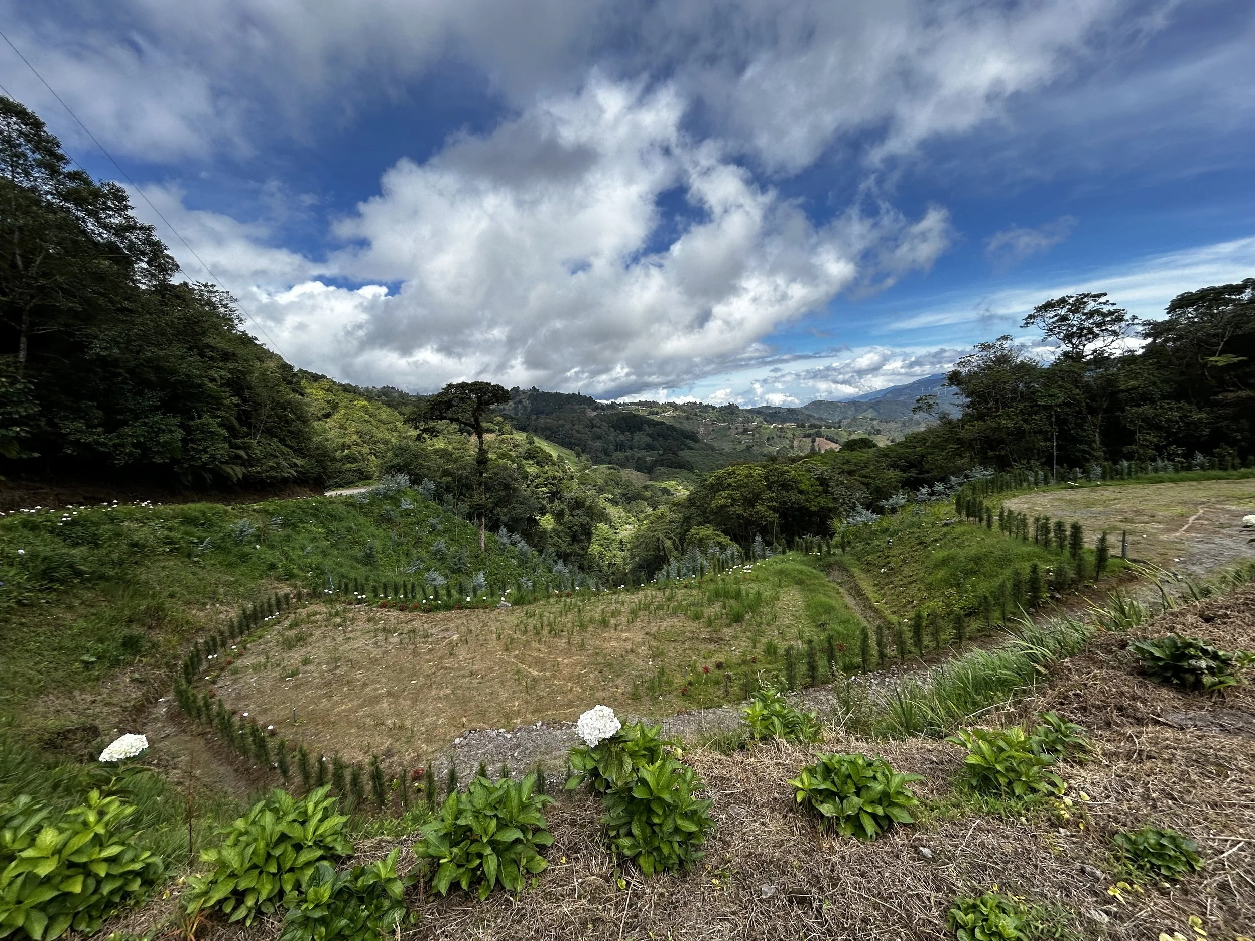 A scenic landscape with green hills, trees, farmland, and a partly cloudy sky.